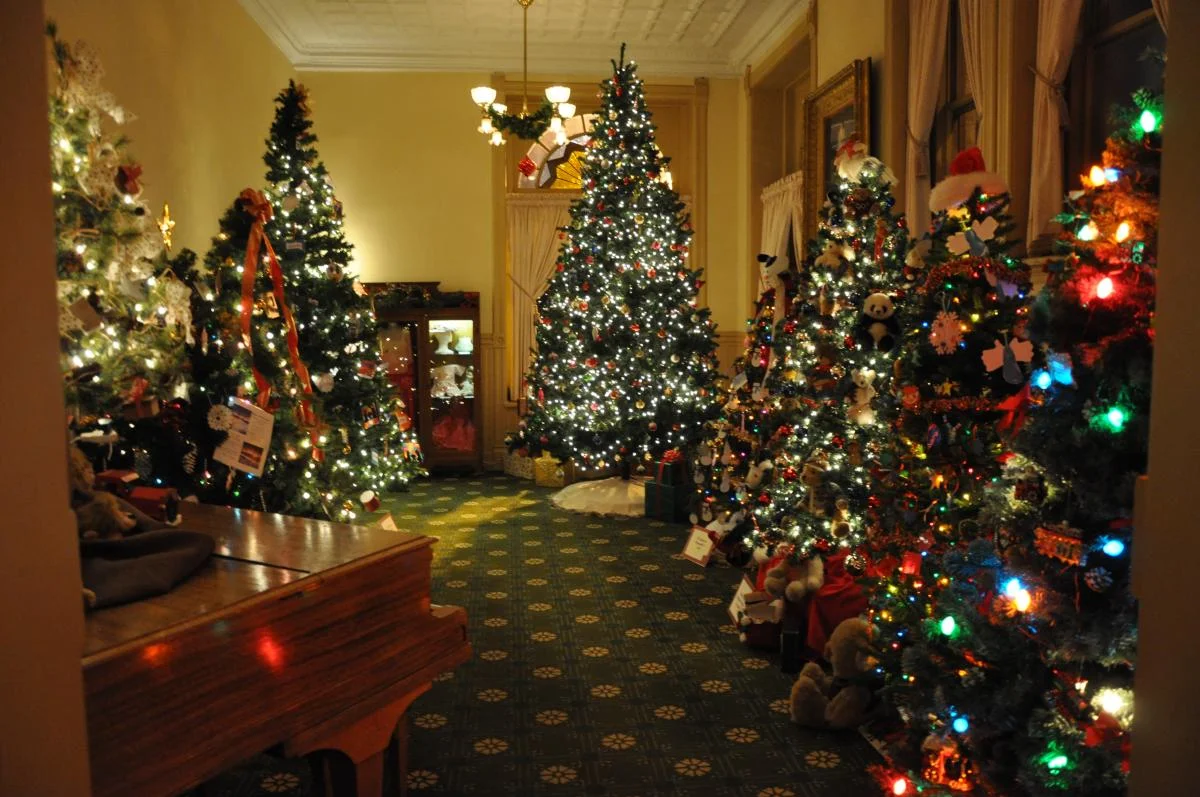 Christmas Tree Walk
