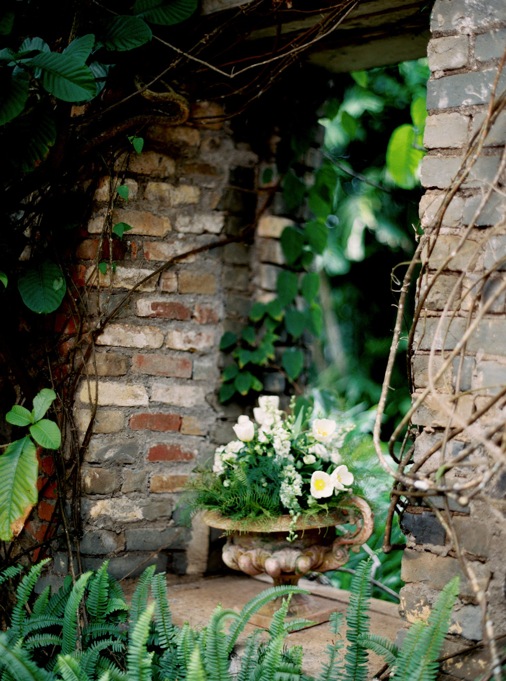 00253-Karen+JonathanWedding.jpg