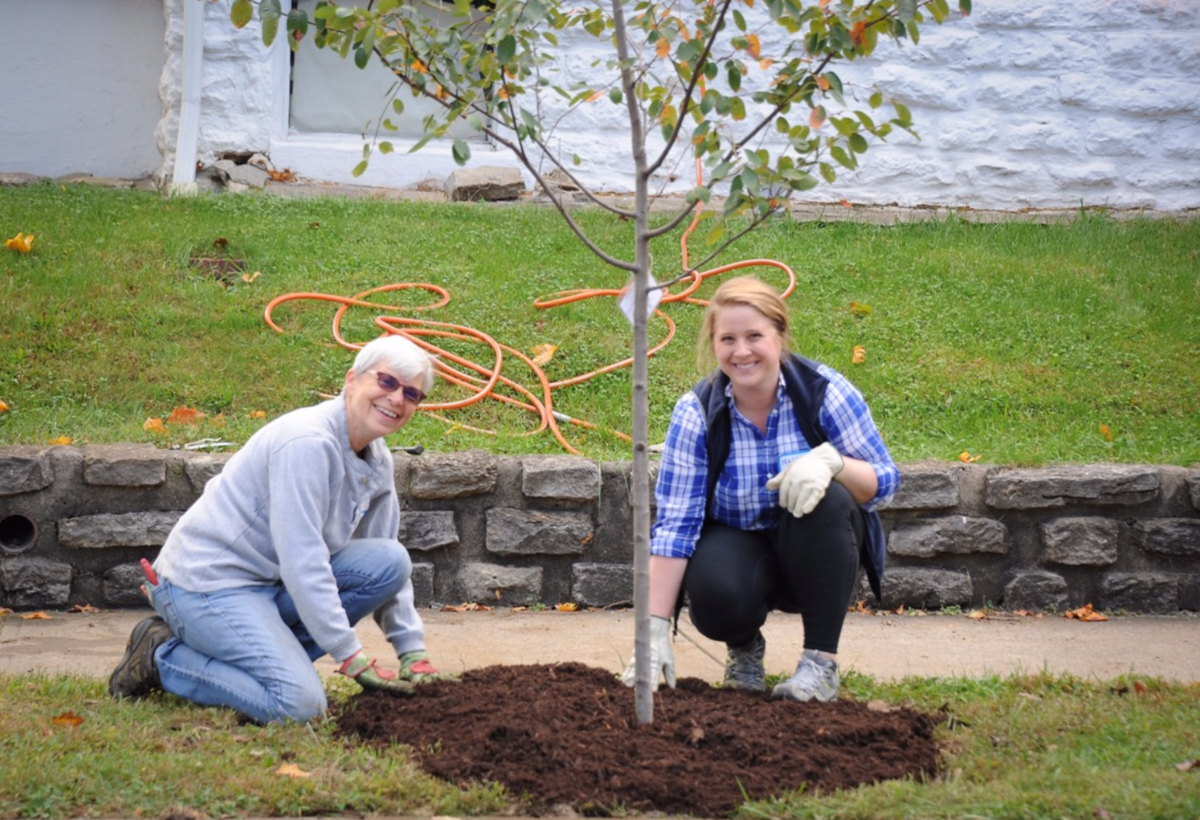 Tree Planting.png