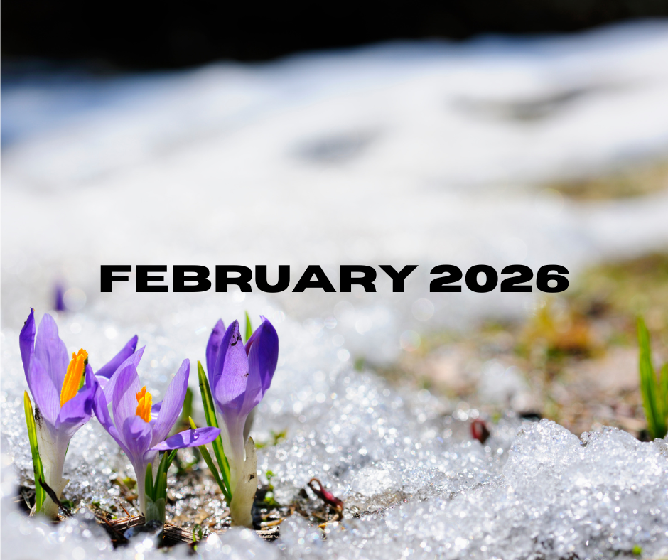 The Voice - February 2026