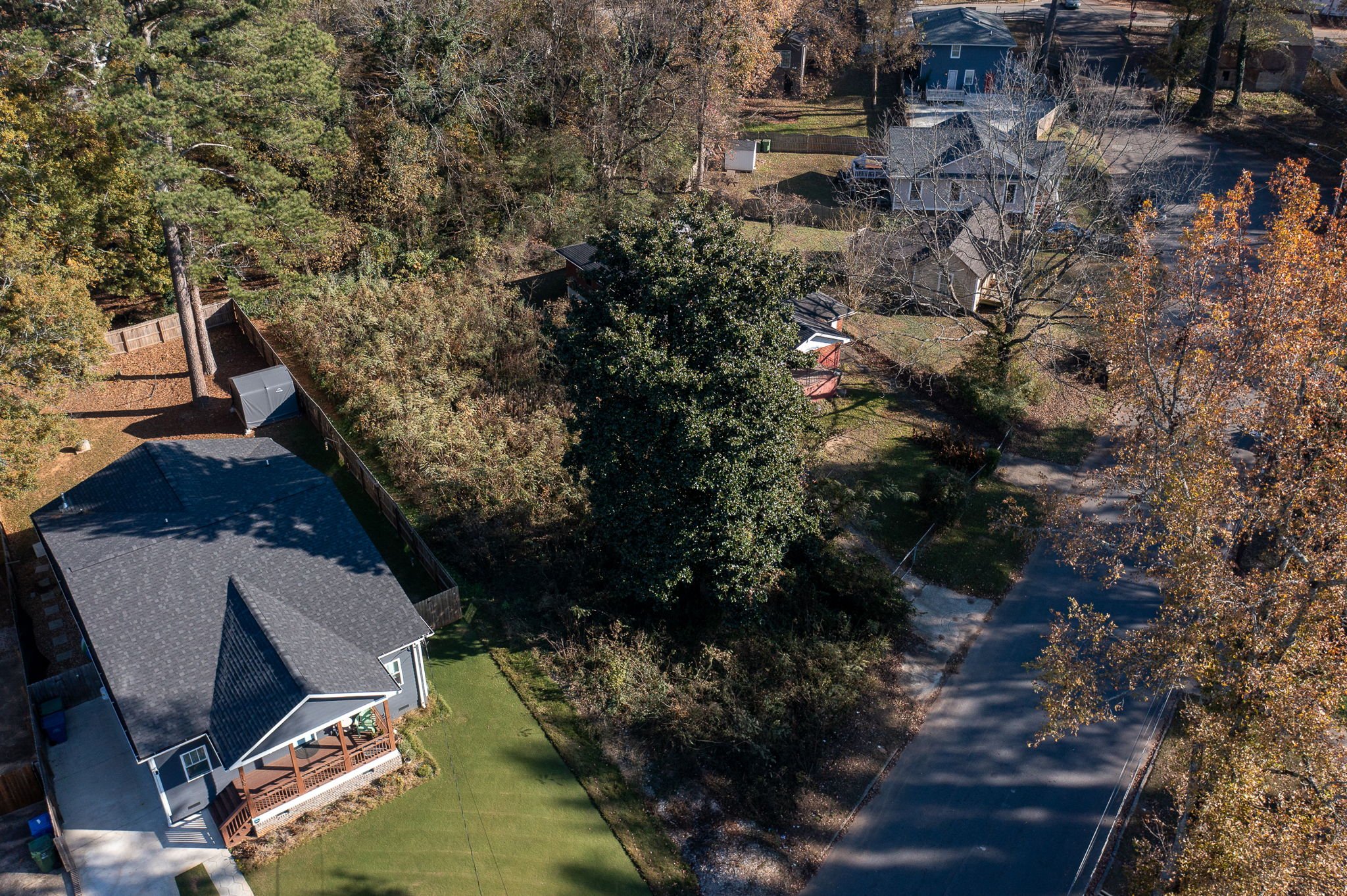 2-web-or-mls-20241203_1113cordova_harris002.jpg