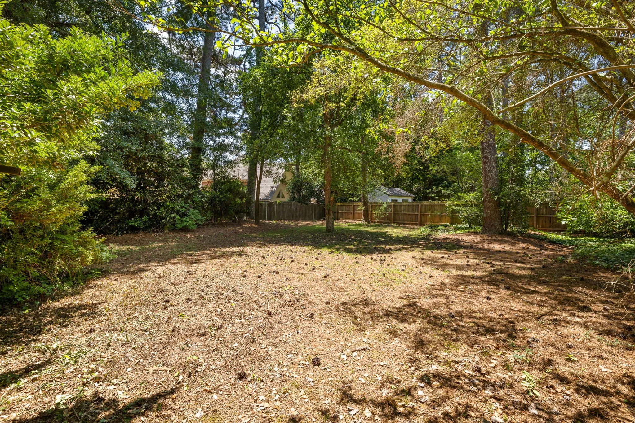 23-web-or-mls-20260513_2569wilson_harris068.jpg