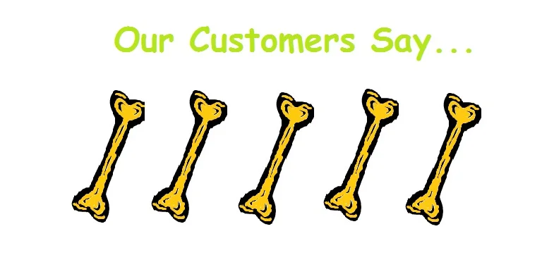 5-bones.jpg