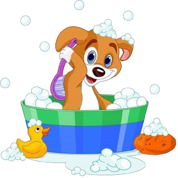 brush and bath.png