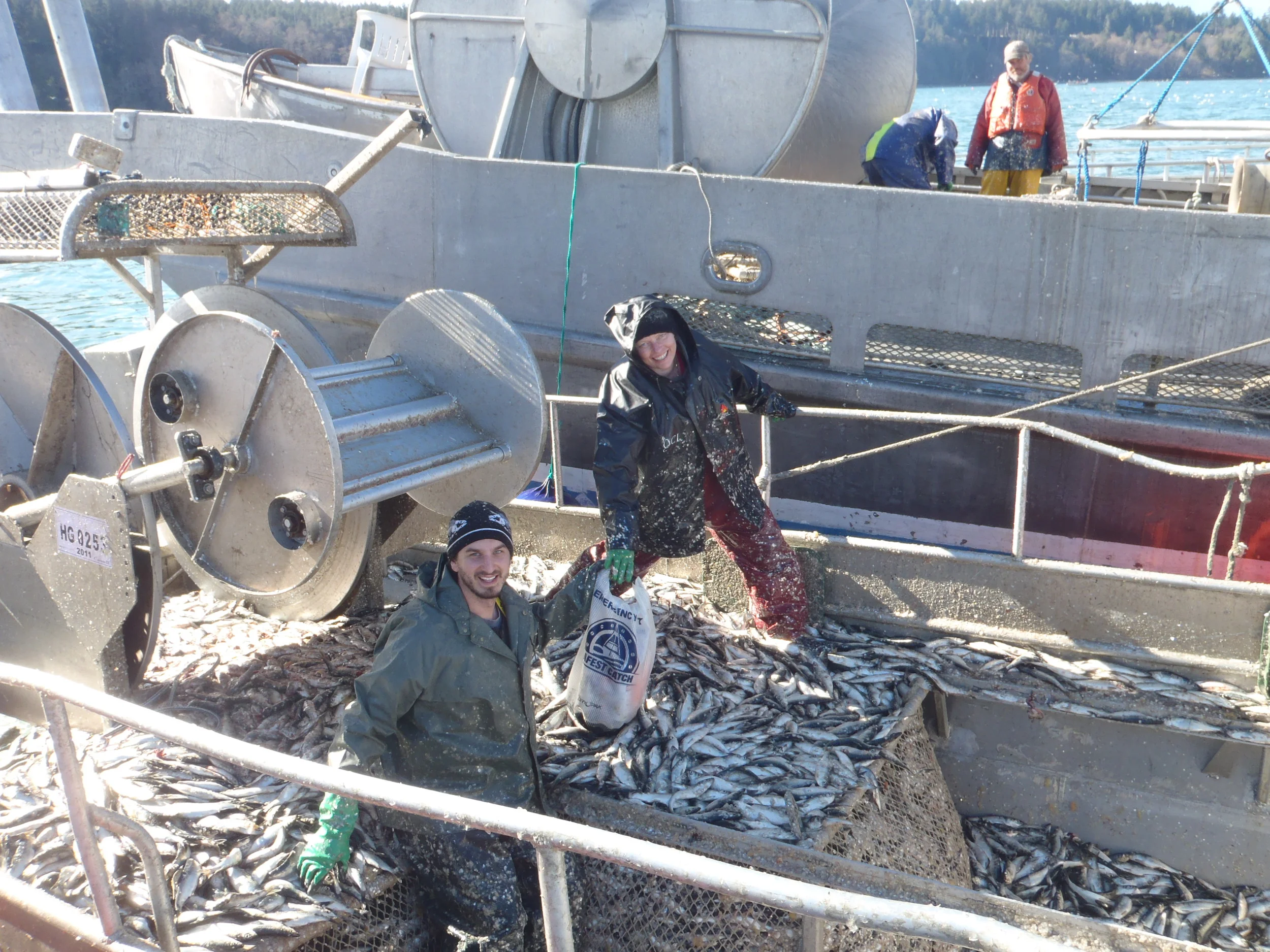 HERRING DAYS 2016 - AN EVENT TO REMEMBER!!