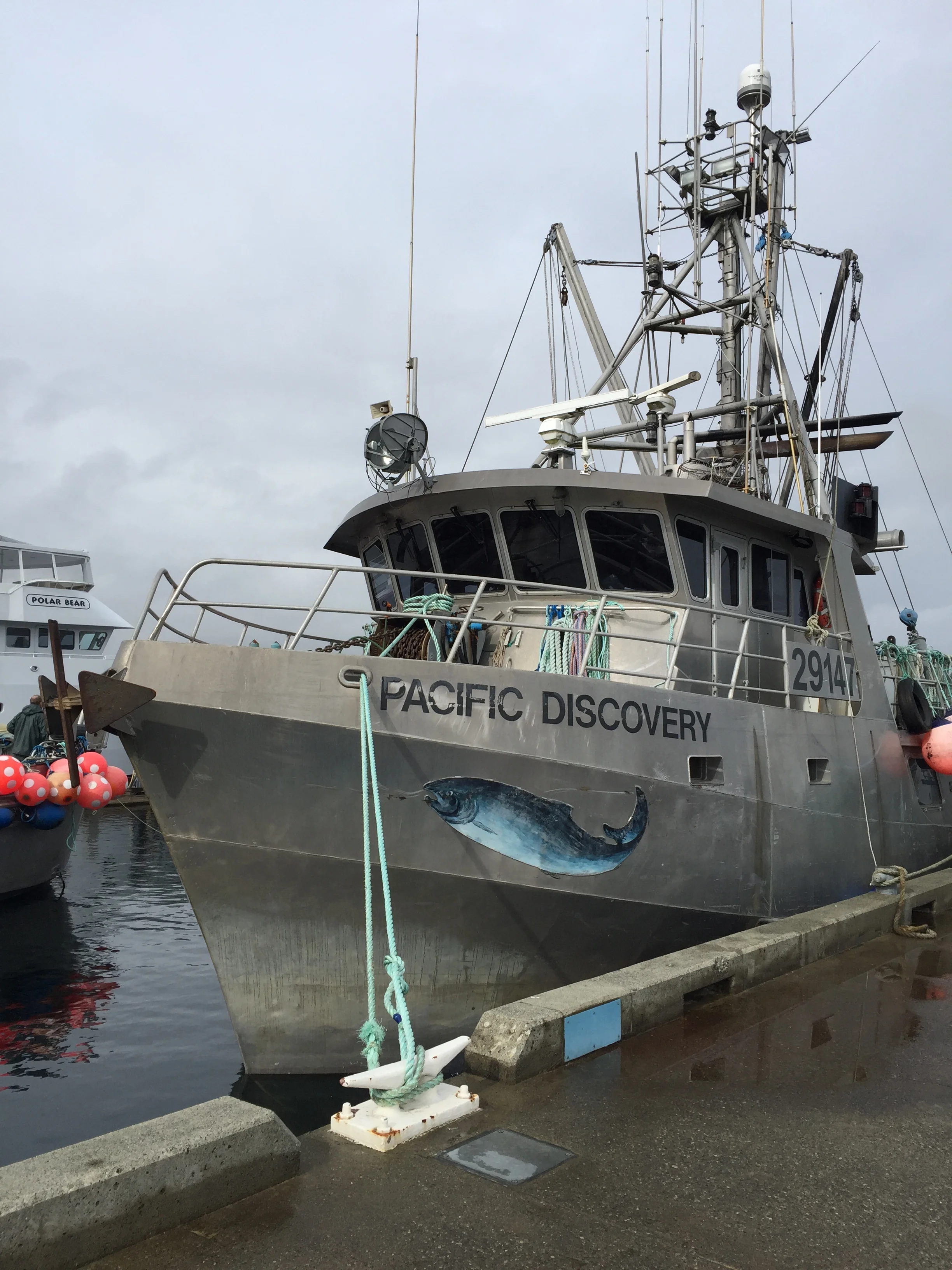 Join Fish Safe at the BC Seafood Expo in Courtenay!