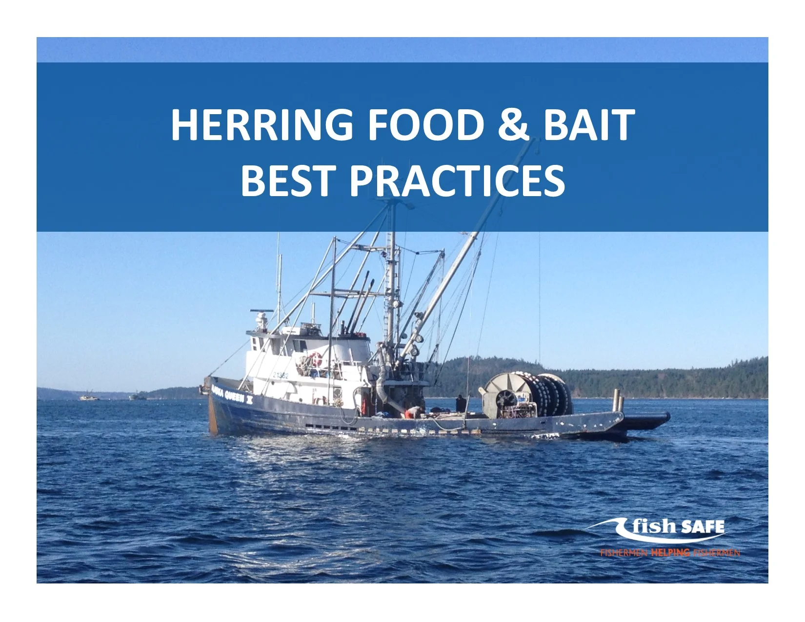 Herring Food & Bait Best Practices — Fish Safe