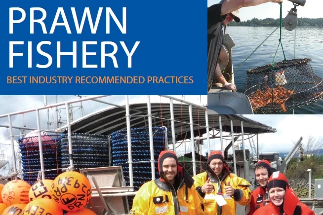 Prawn Fishery Best Practices