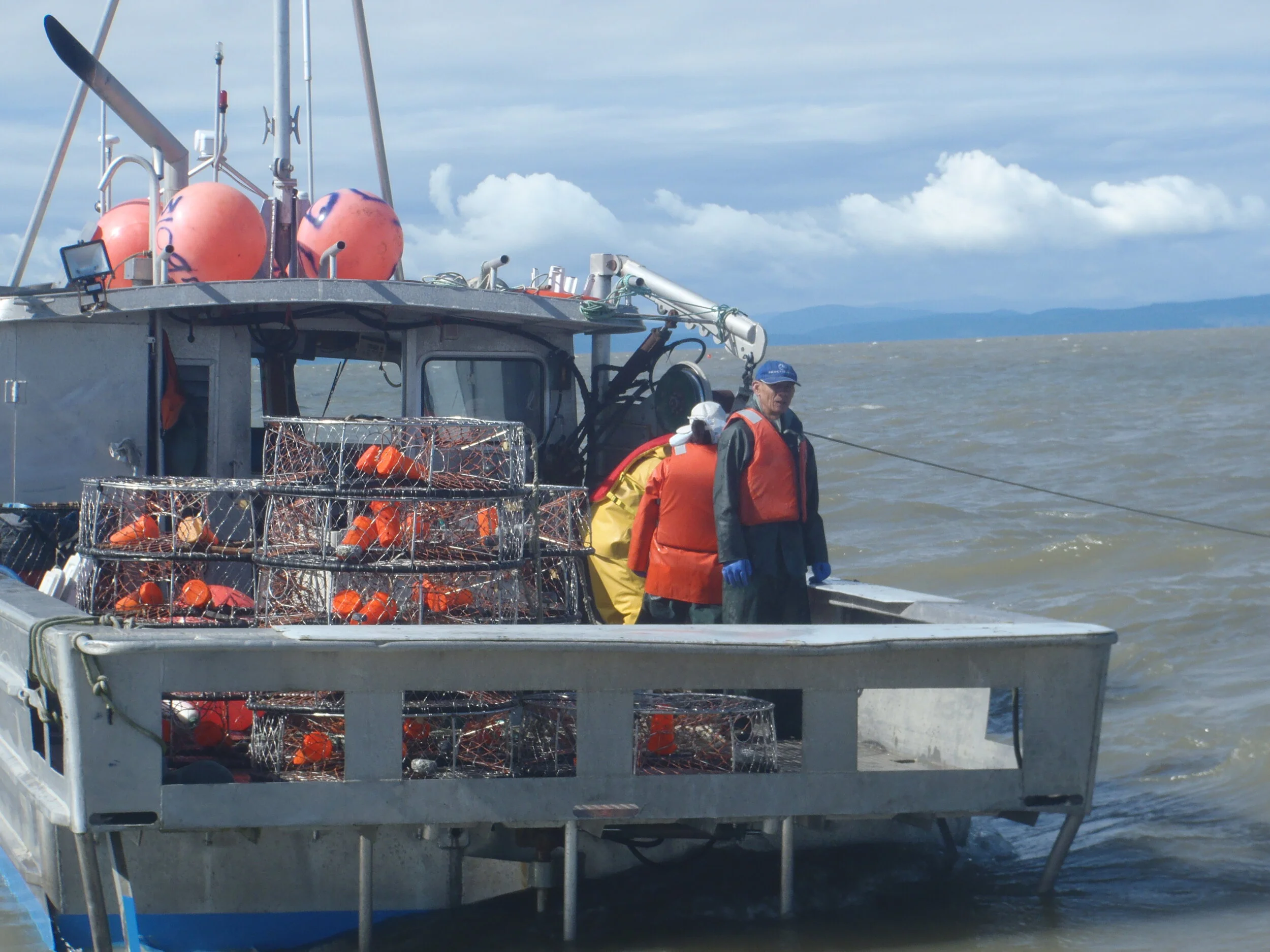 DUNGENESS CRABBERS PFD Study Findings