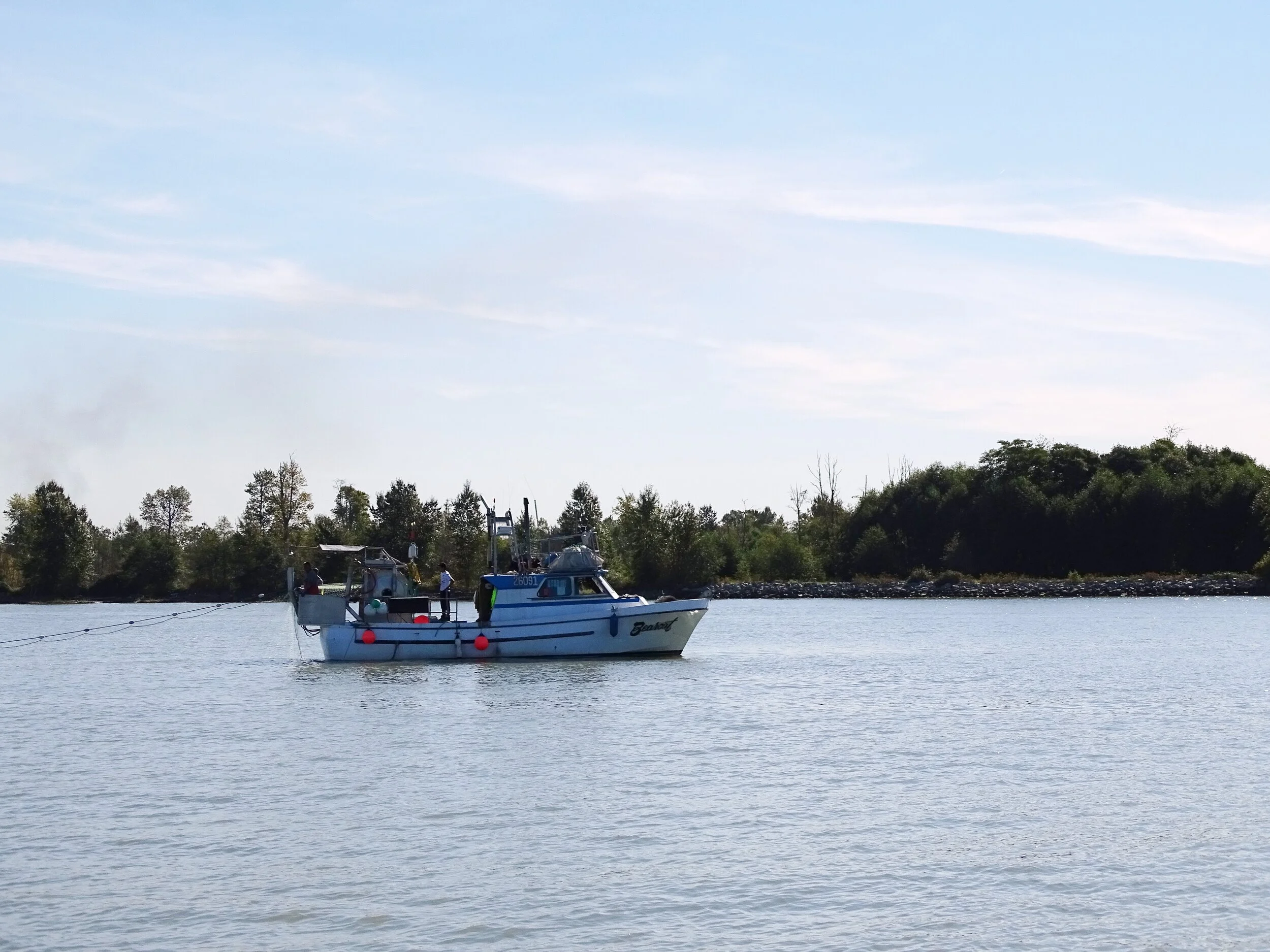 GILLNETTERS PFD Study Findings