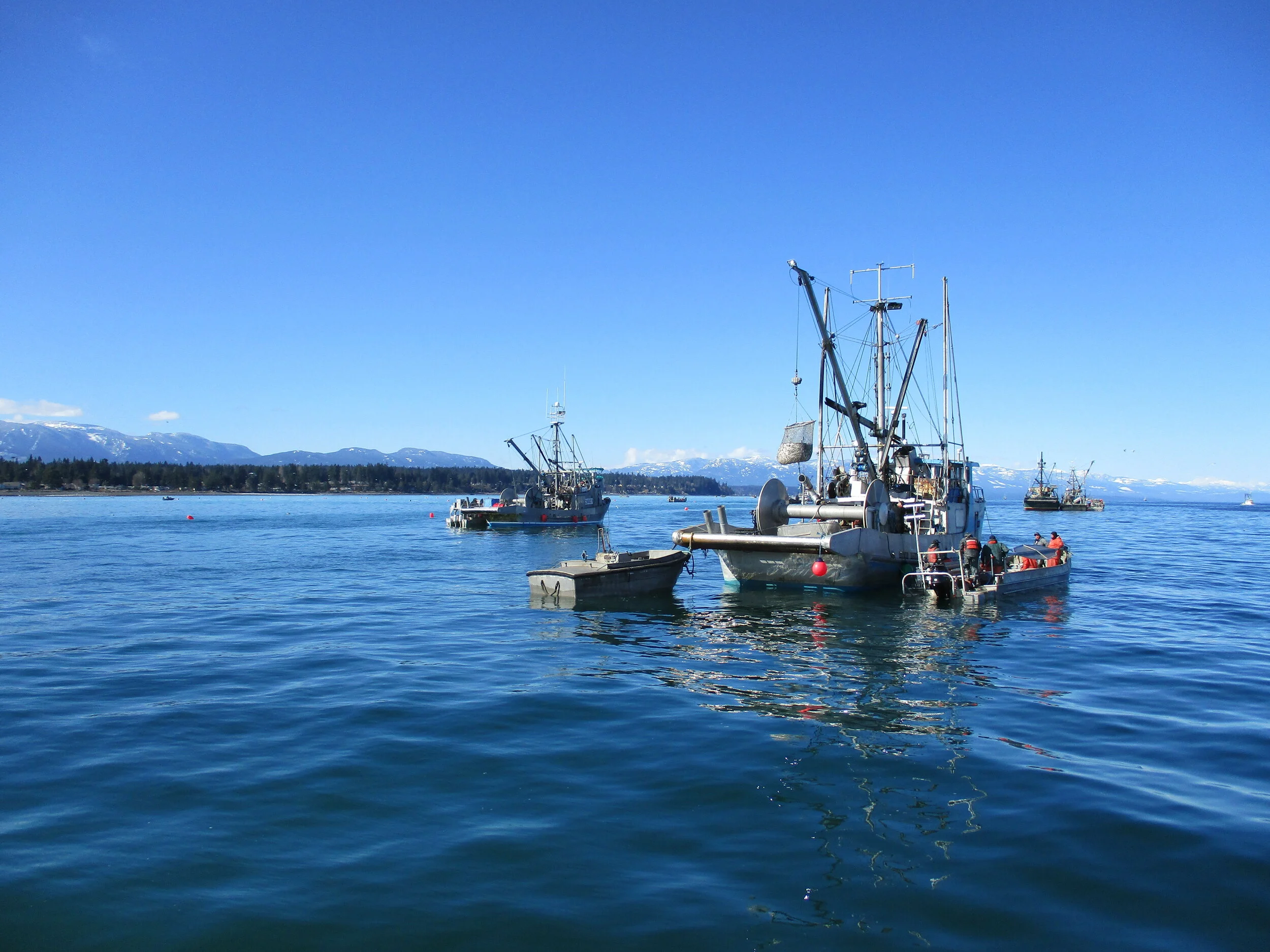 Herring fishermen: Protect our coastal communities from COVID-19