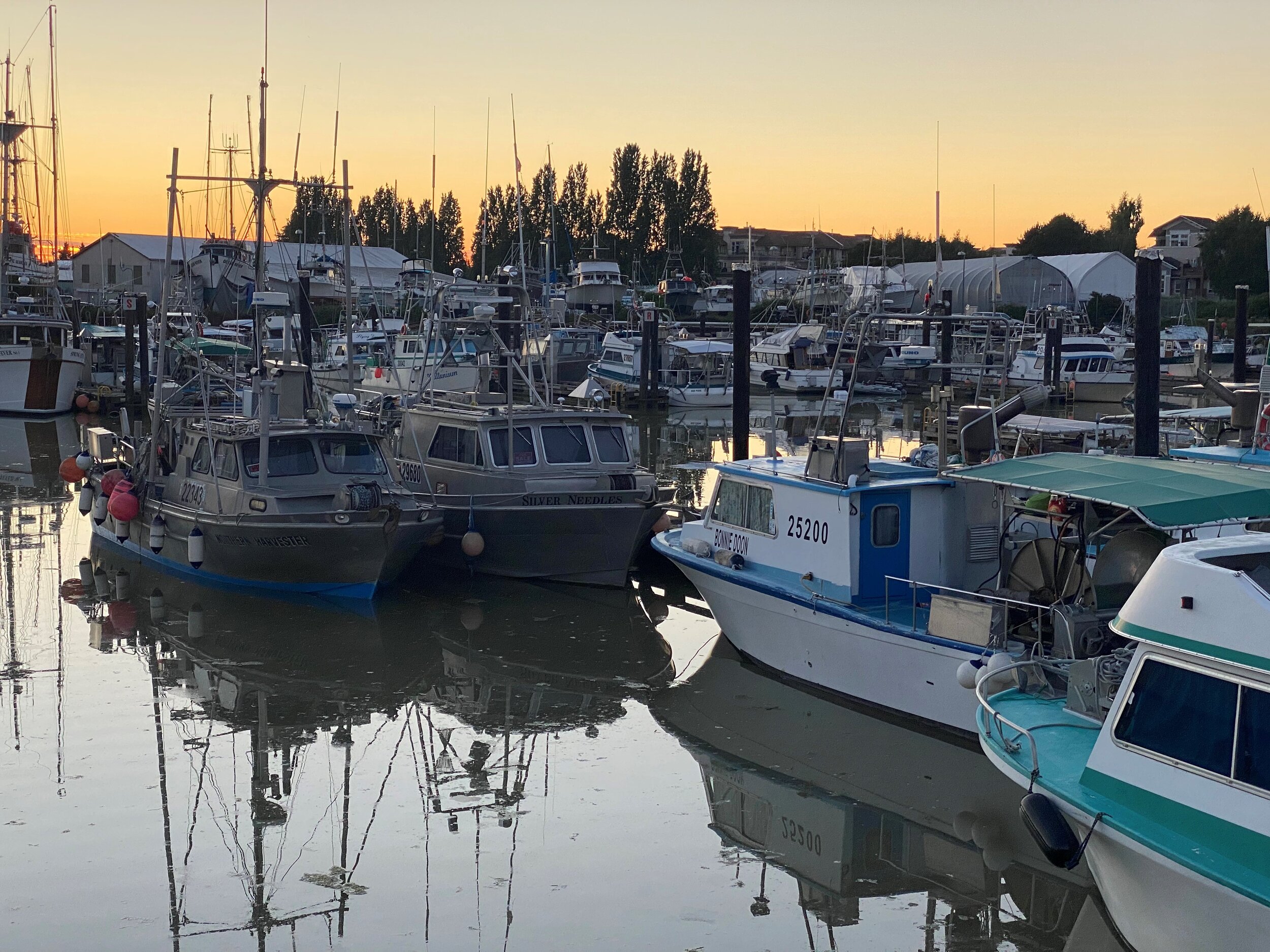 Small Vessel Inspection Update – Transport Canada campaign 2021