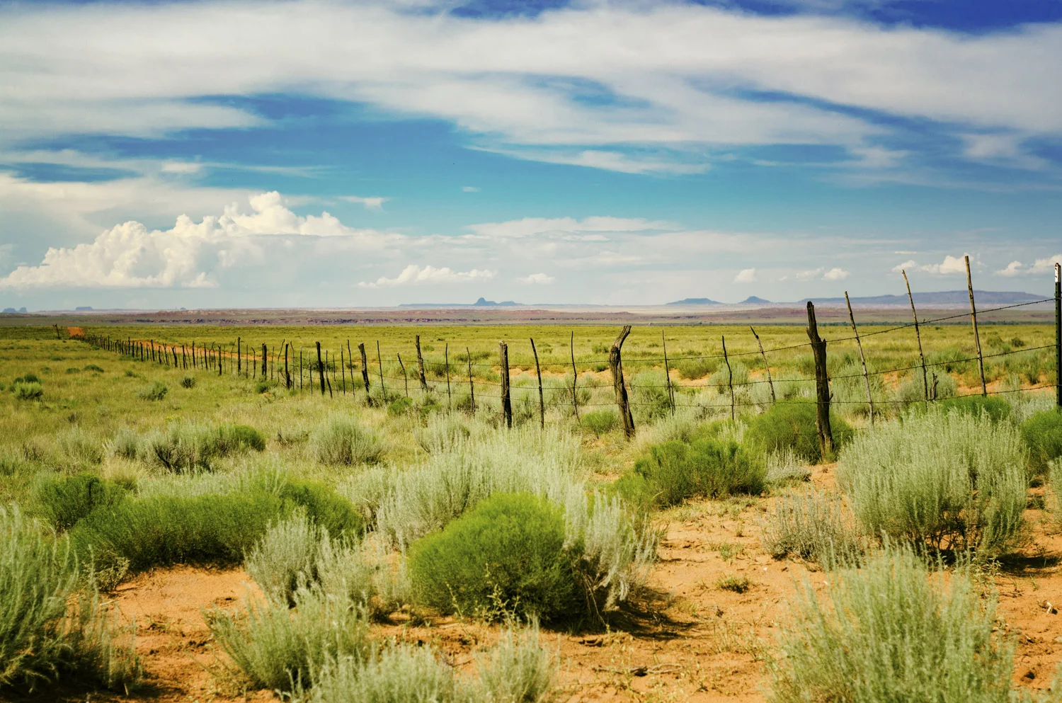 Fenceline at Petroglyph Ranch, Arizona