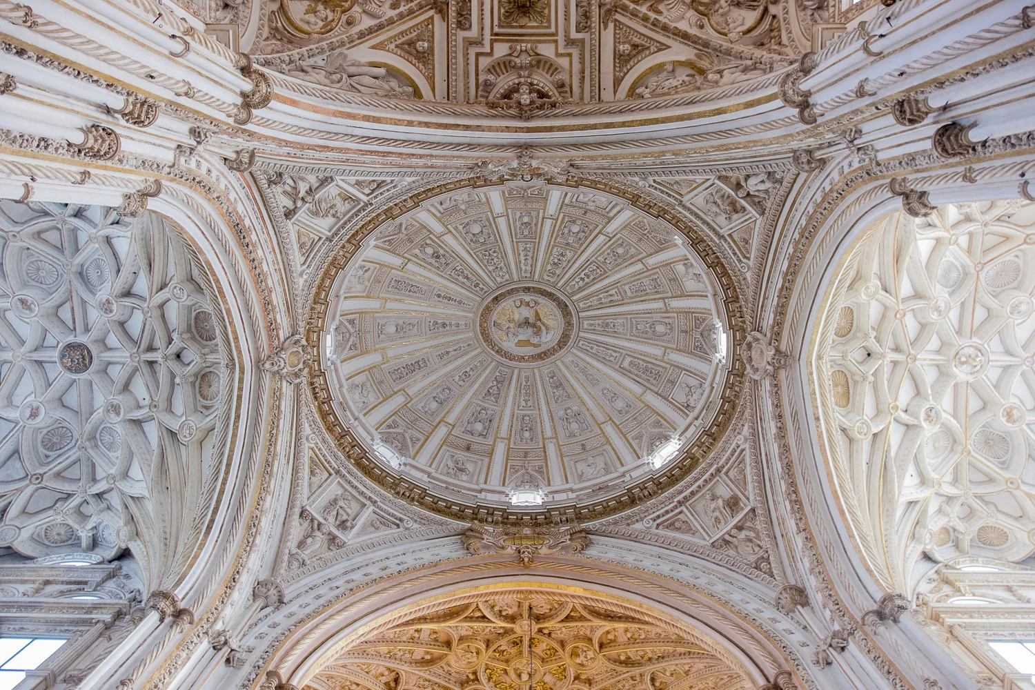 _DSF0380.jpg