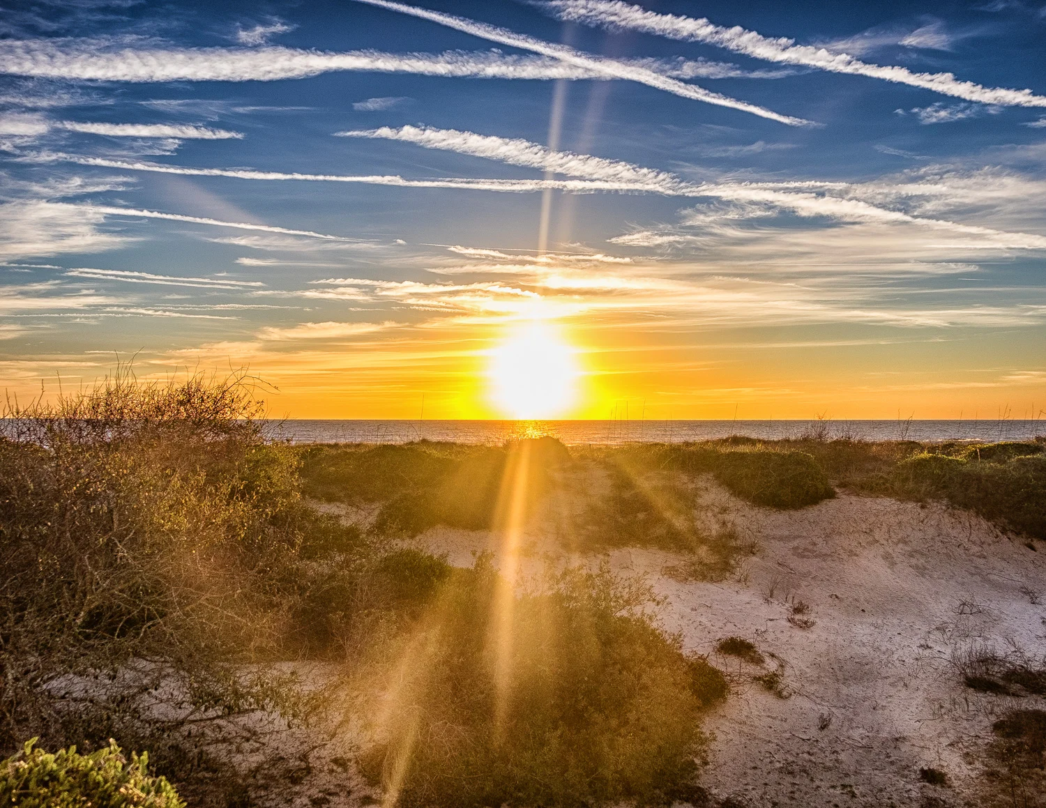 _DSF4547-Edit.jpg