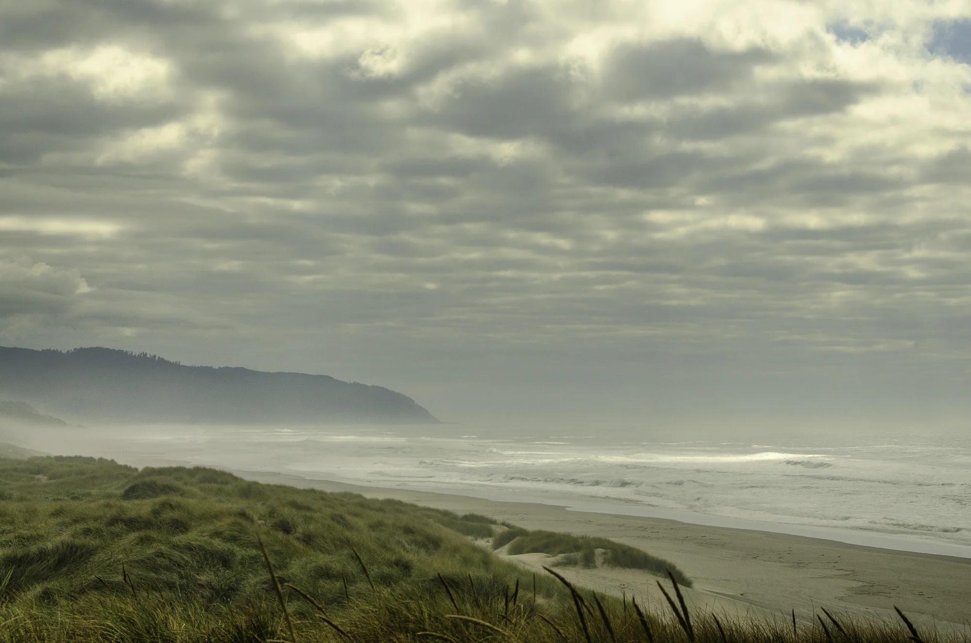 DSC_4402-Edit.jpg