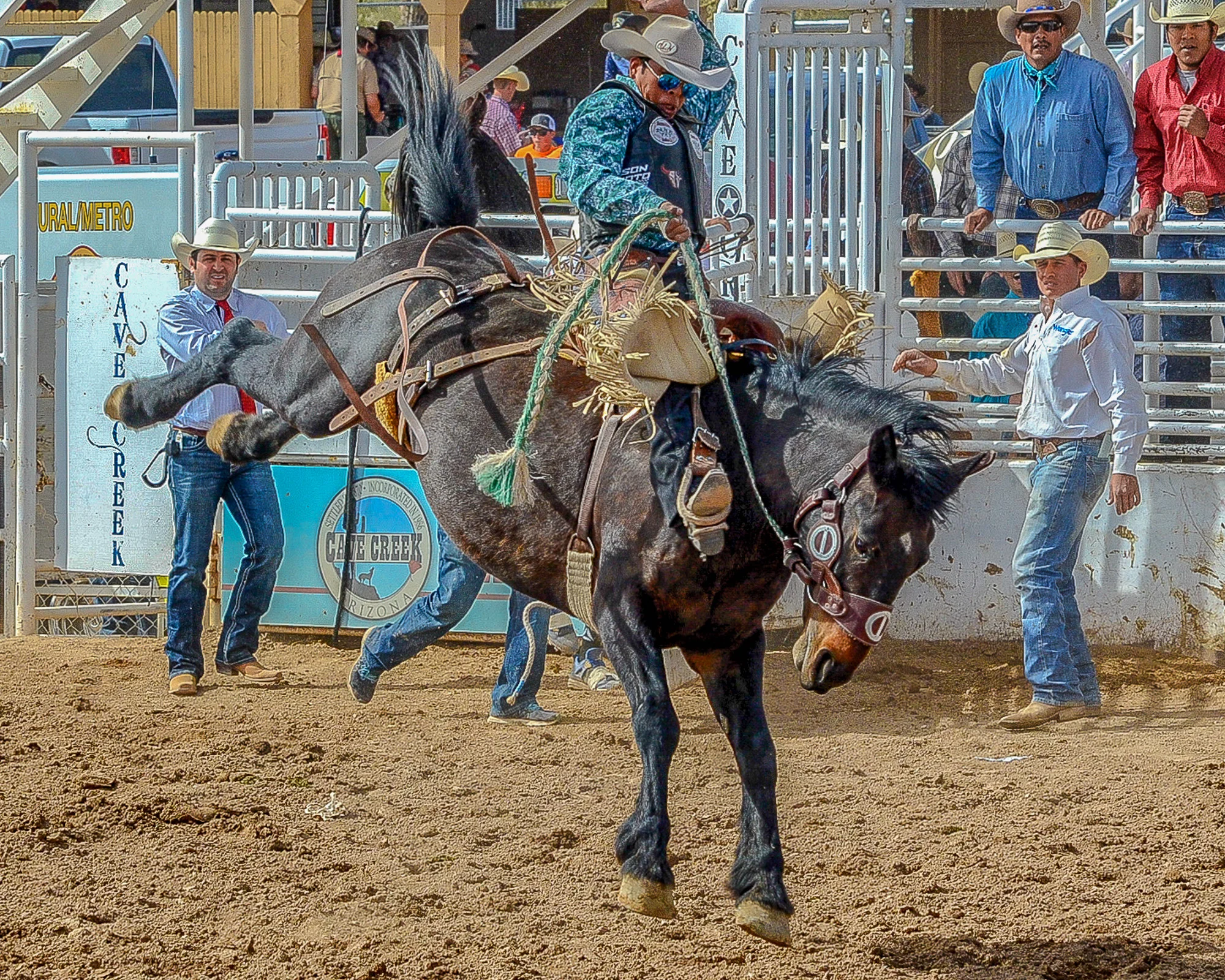 _DSC4207-Edit.jpg
