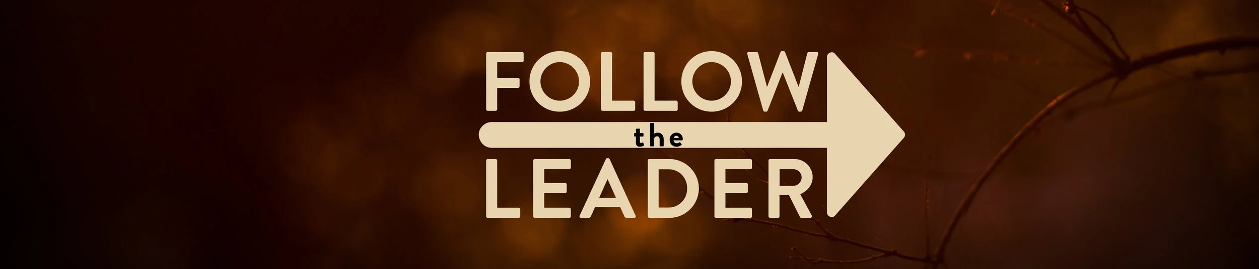 Follow The Leader Banner.jpg