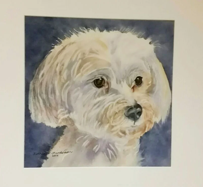 The profound beauty of God’s world