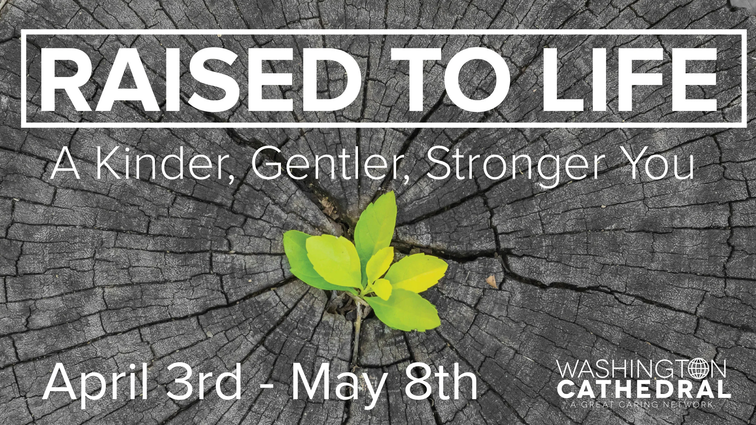 What are you wearing?