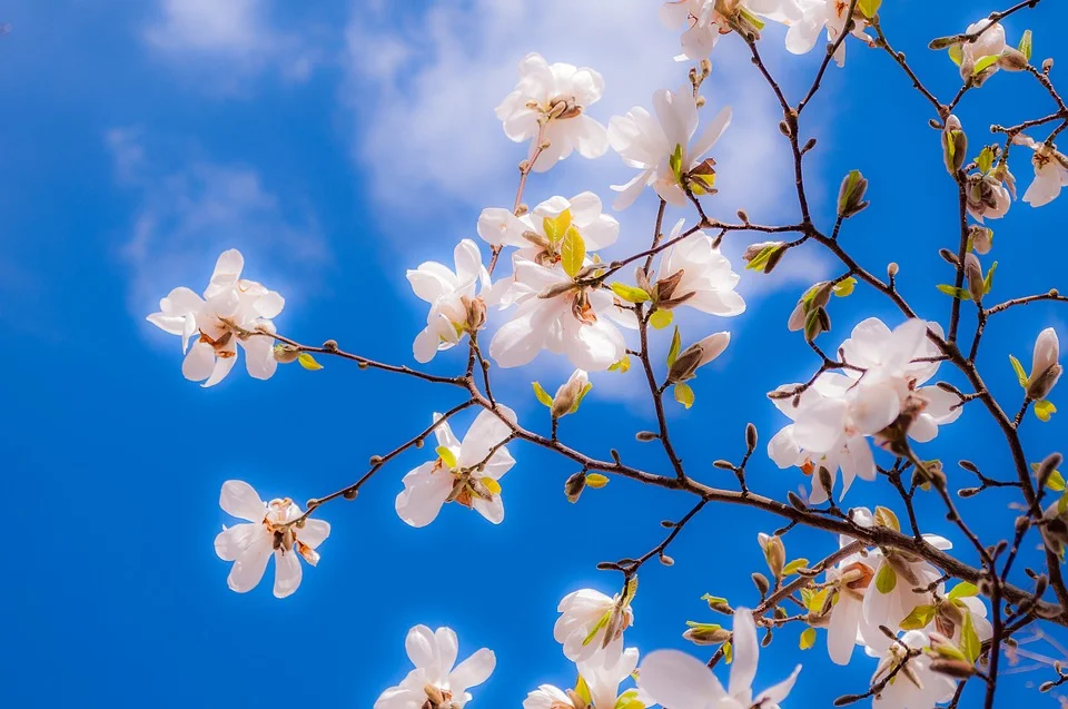 People of Springtime
