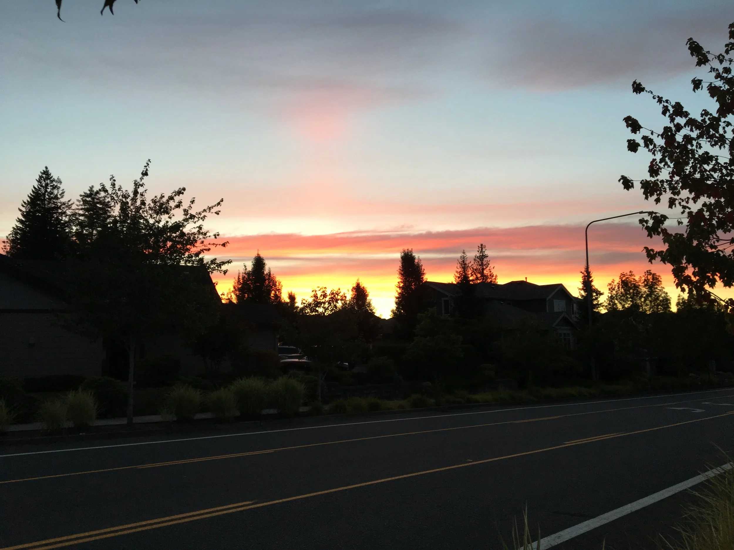 Human Sunsets