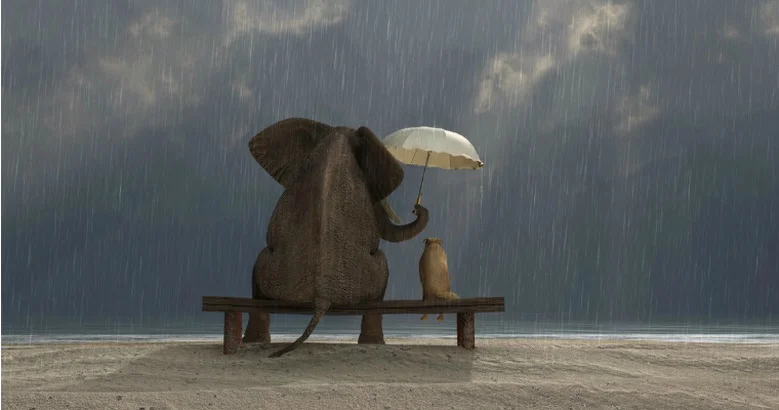 Considerate Love