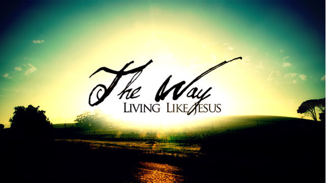 the-way-main-graphic-001.jpg