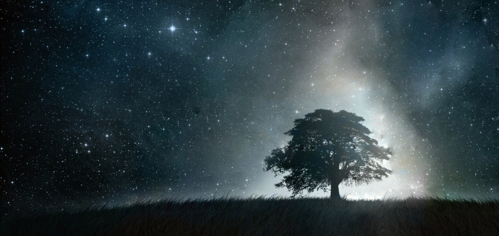sky-night-tree.jpg