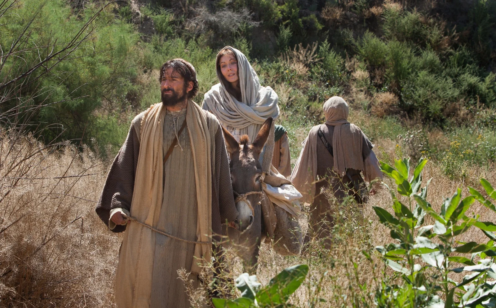 The Miracle of a Precious Family