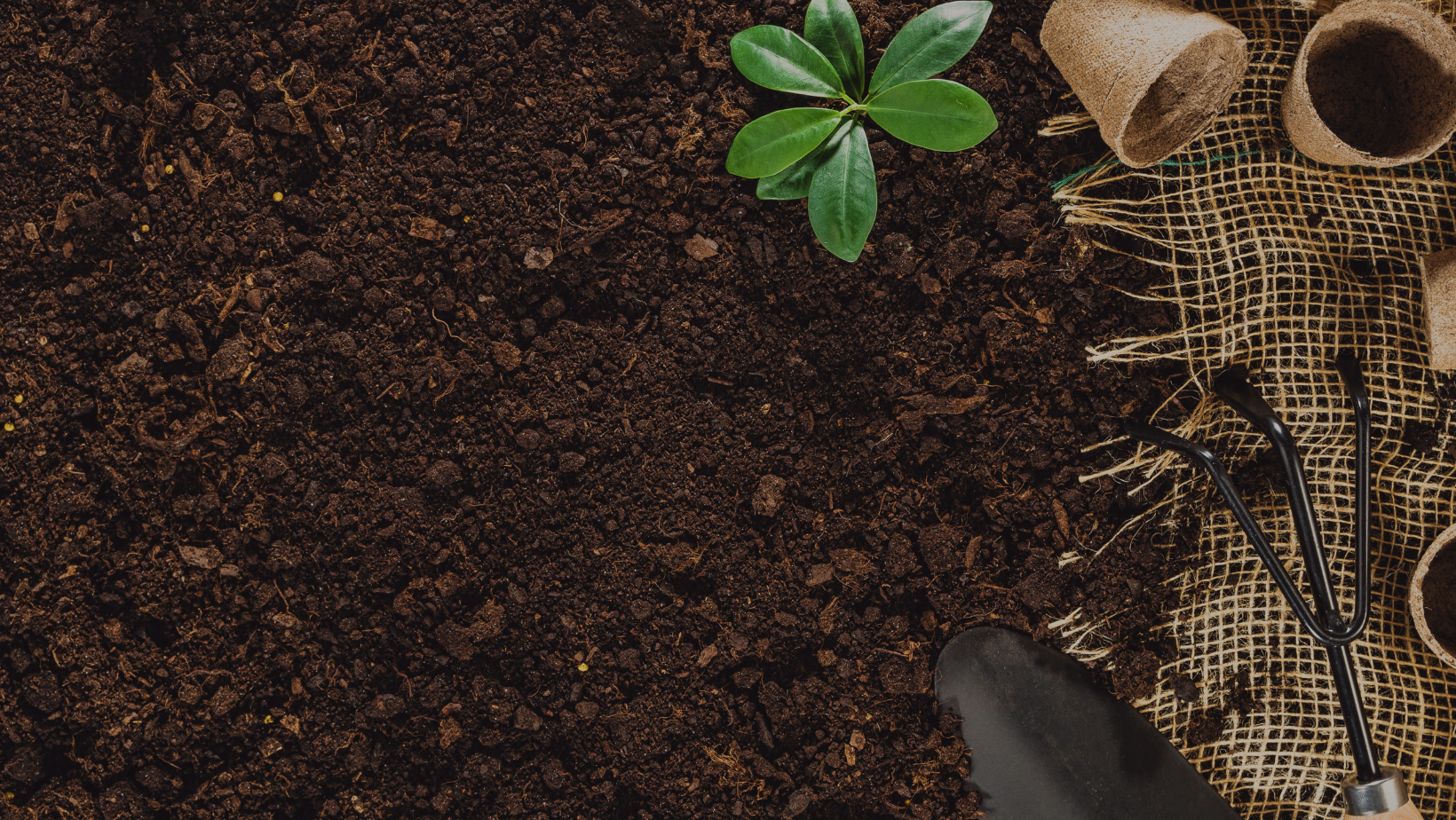 The Joy of Sowing Seeds