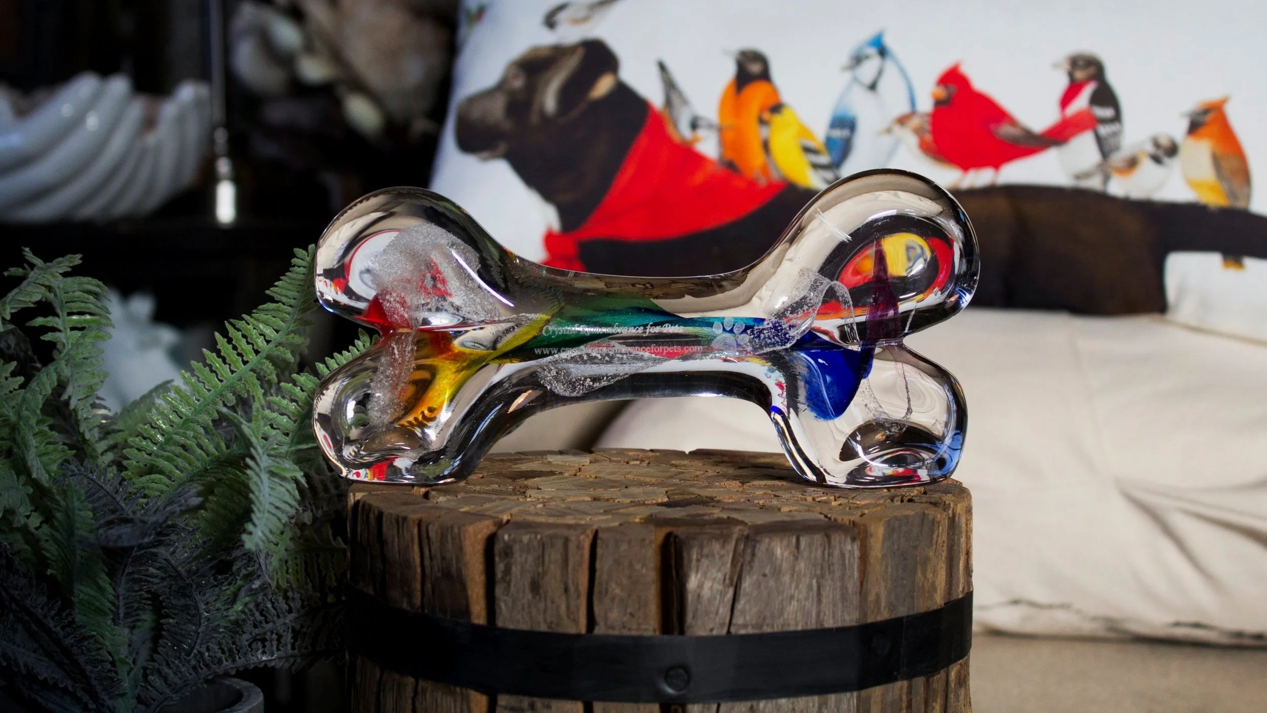 Rainbow_Bone_1.jpg