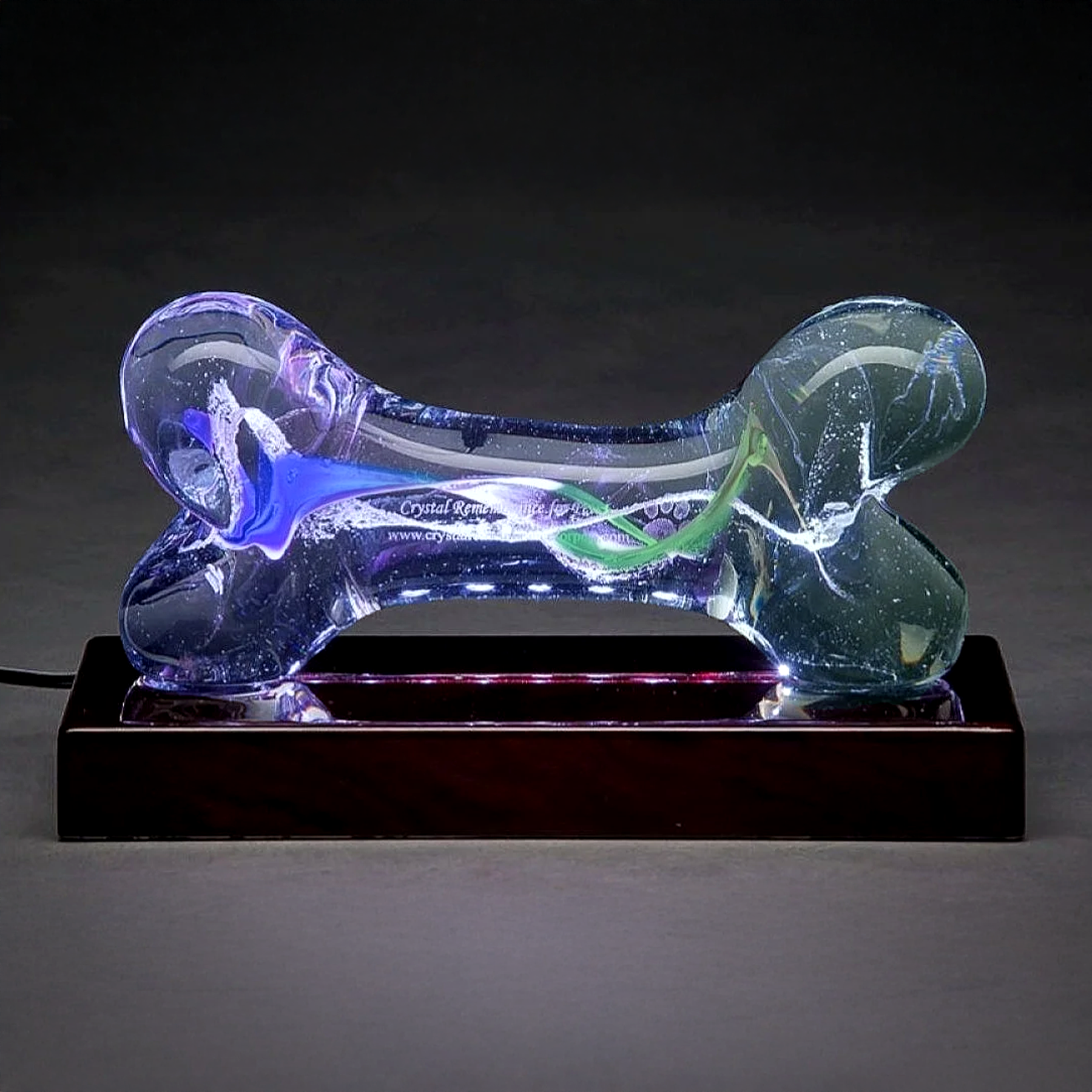 Bone multi color.png