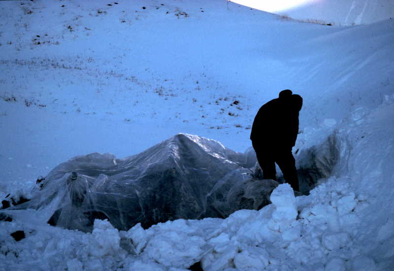 Visqueen Shelter