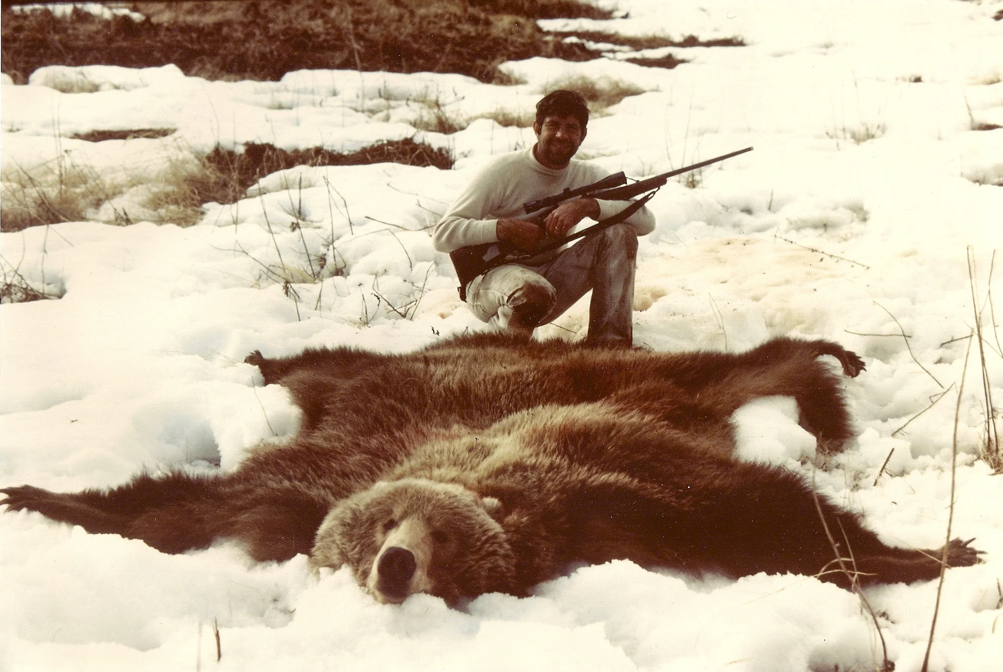 My 2nd Brown Bear