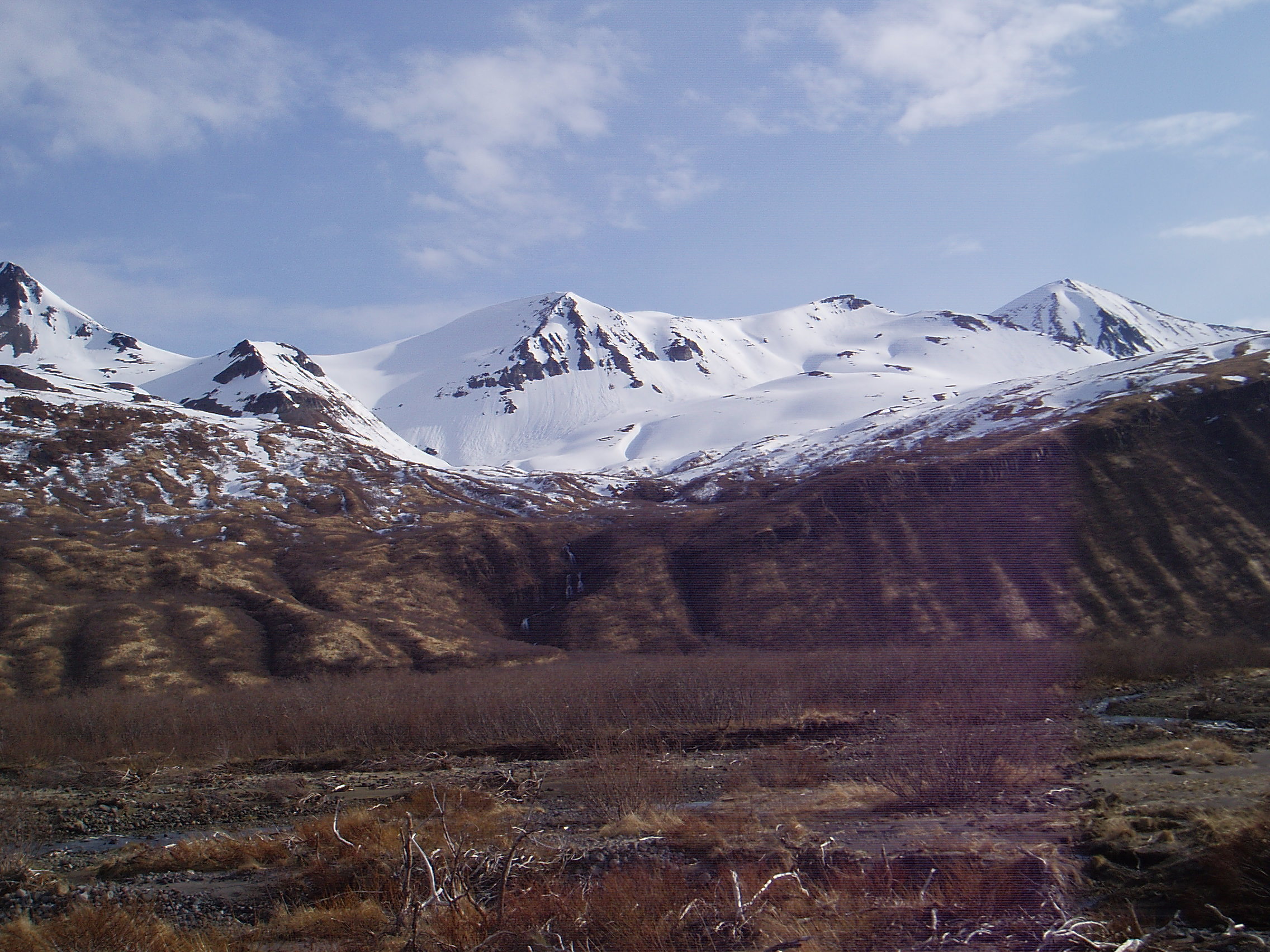 Spring brown bear country