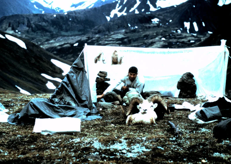Typical Roger Sheep Camp