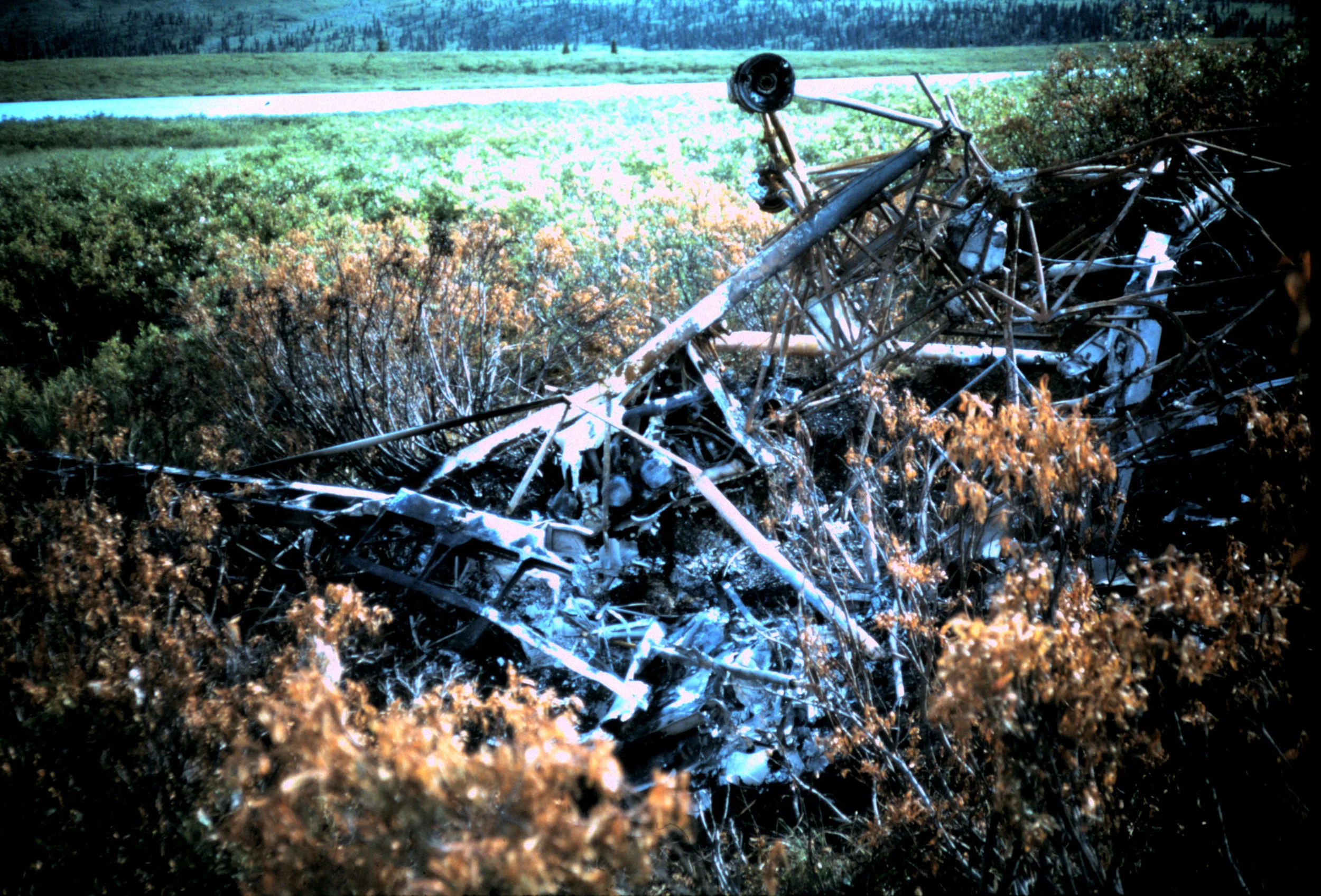 What was left of the aircraft