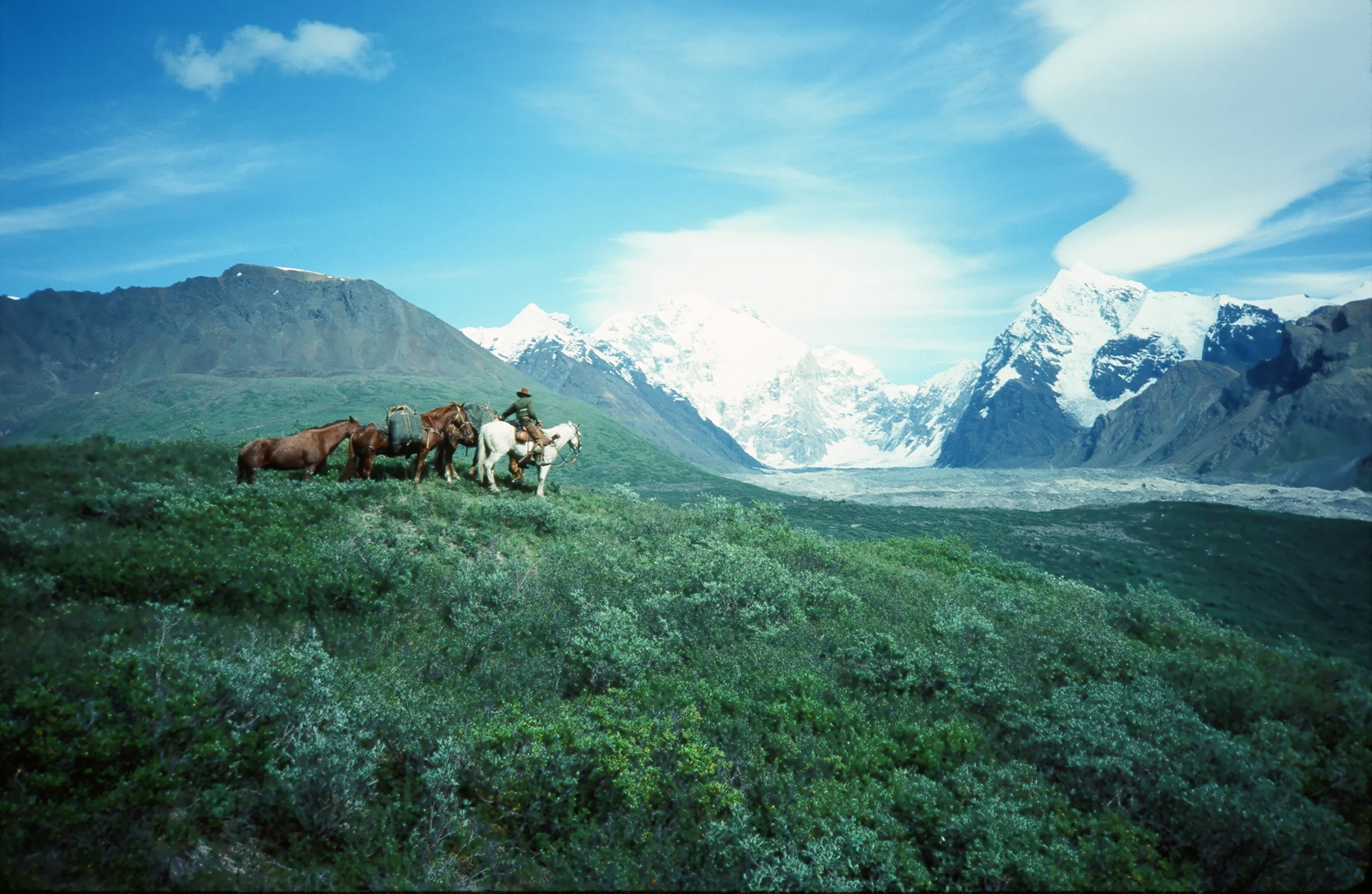 AAA Alaskan Outfitters' wrangler Troy Smith in the magnificence Wrangell Mountains. 