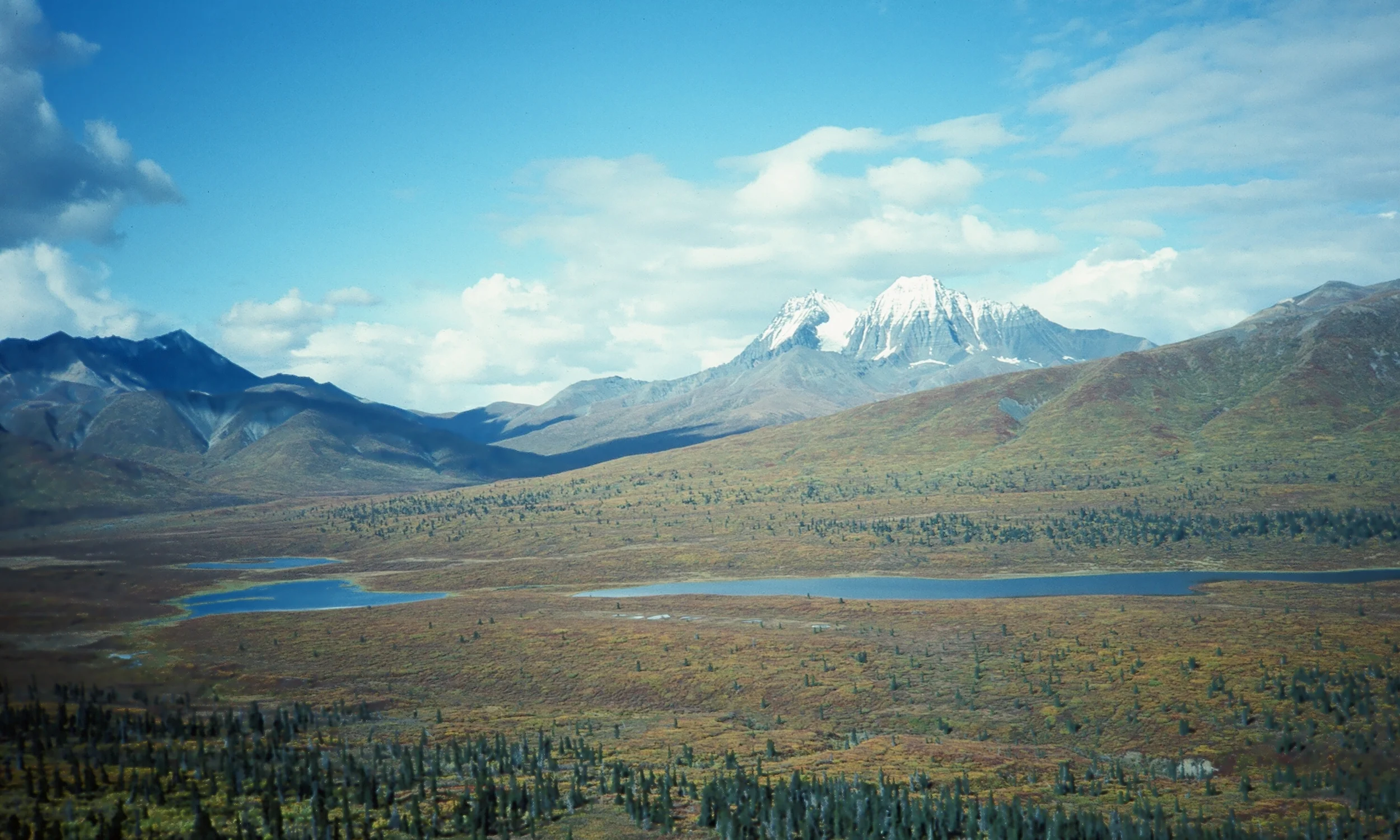 Looking back at Young Creek in the beautiful Wrangell Mountains.