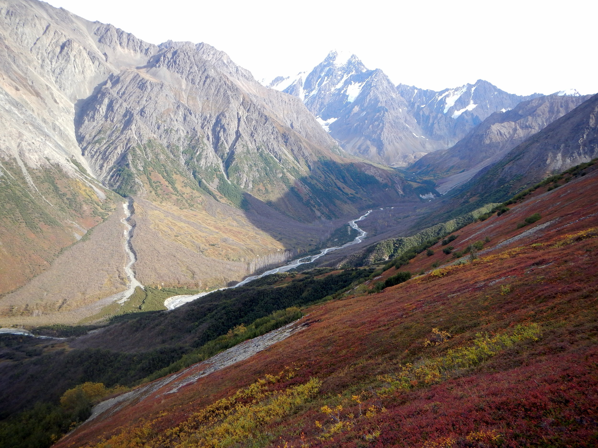 Beautiful Alaska sheep country.