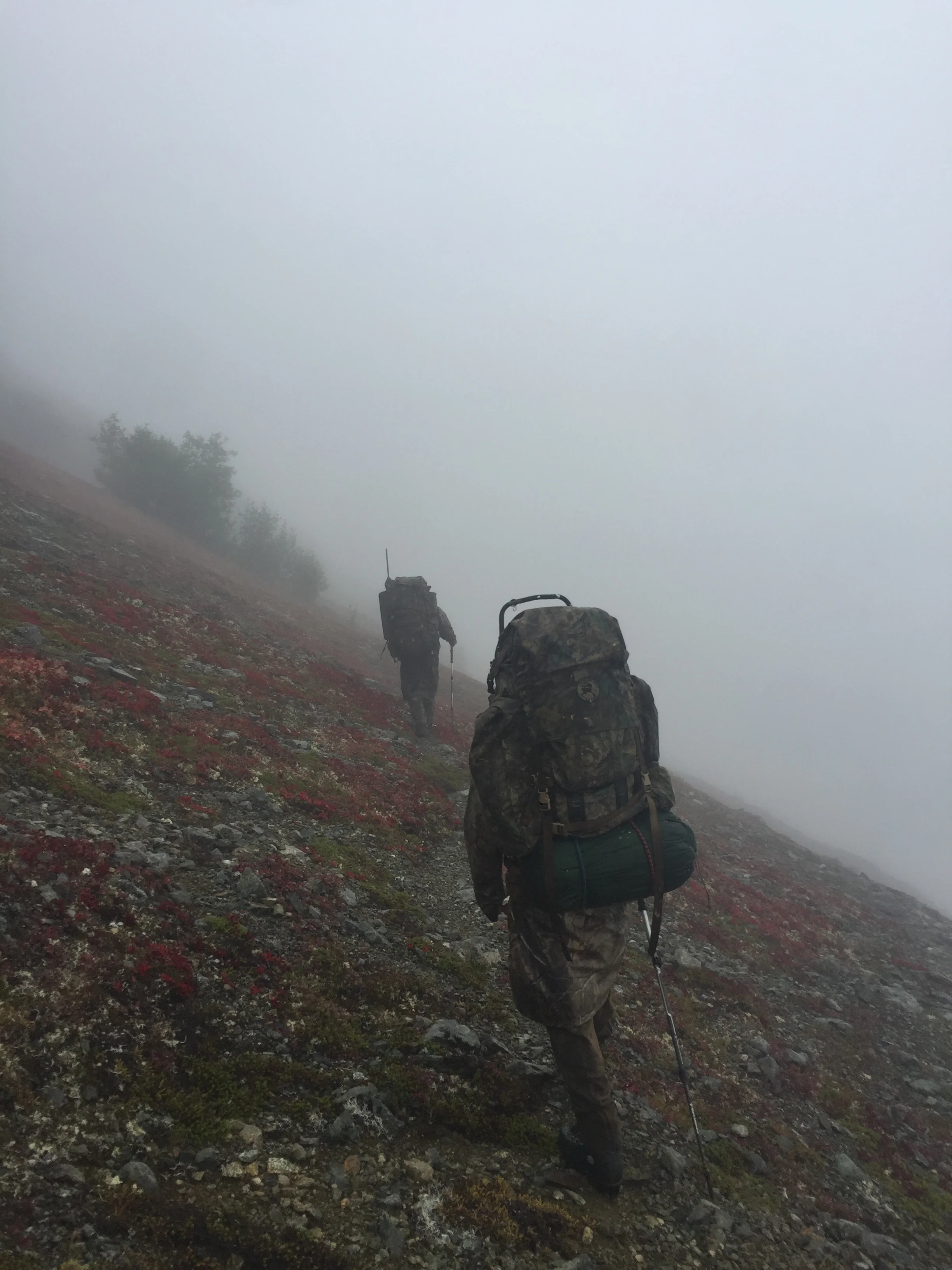 On the sheep trail going out in the fog.