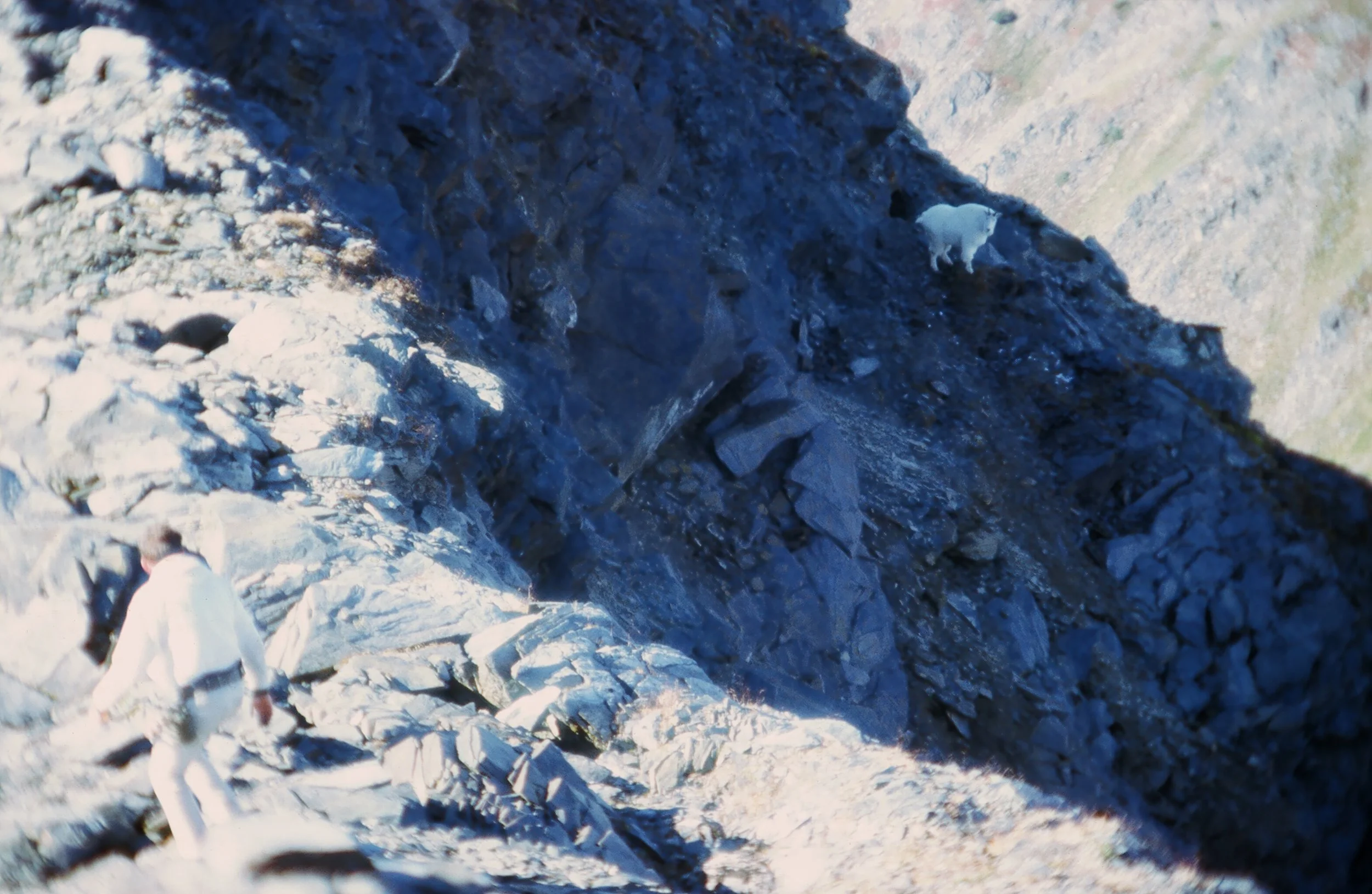 Slipping down to check him out. Once you get on the ridge everything is always below you.