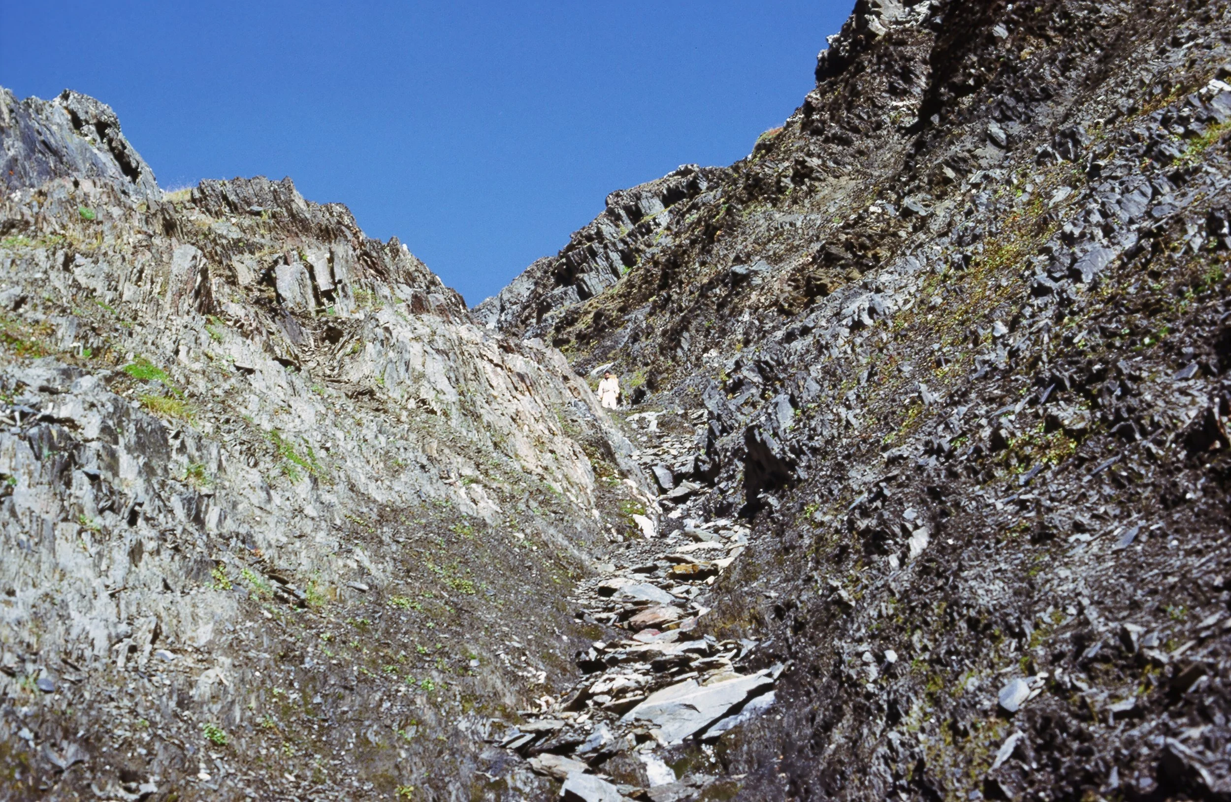 Coming down one of the 100+ chutes that run off the north ridge.