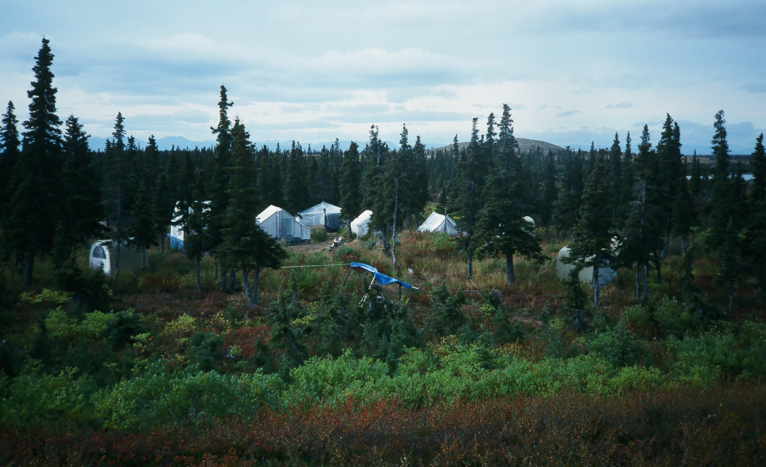 AAA's Western Alaska base camp at Otter Lake. Cabins are prohibited in this area. Our Wrangell Mountain Area and the Alaska Peninsula Area both have cabins at the base camps.