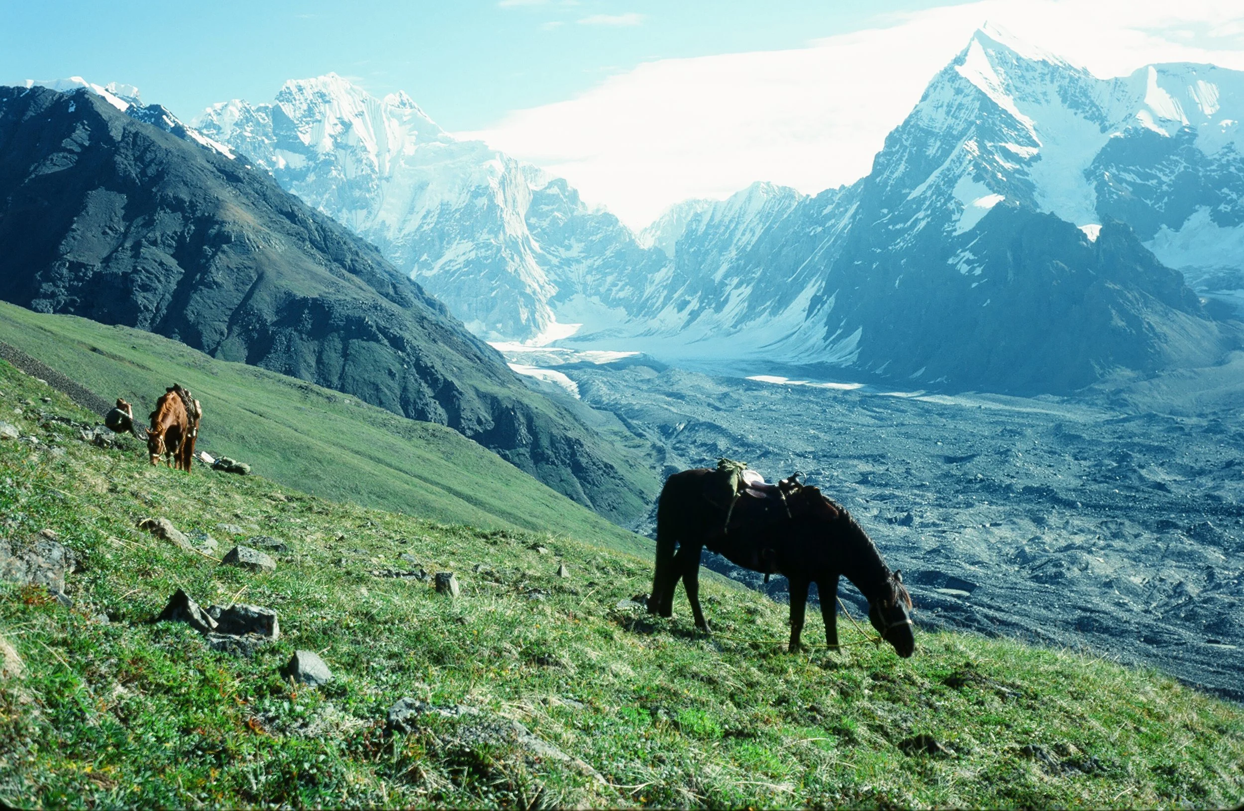 Looking back at the head of Canyon Creek Glacier. Brent rode the horses up the mountain to about the 6,000' level.