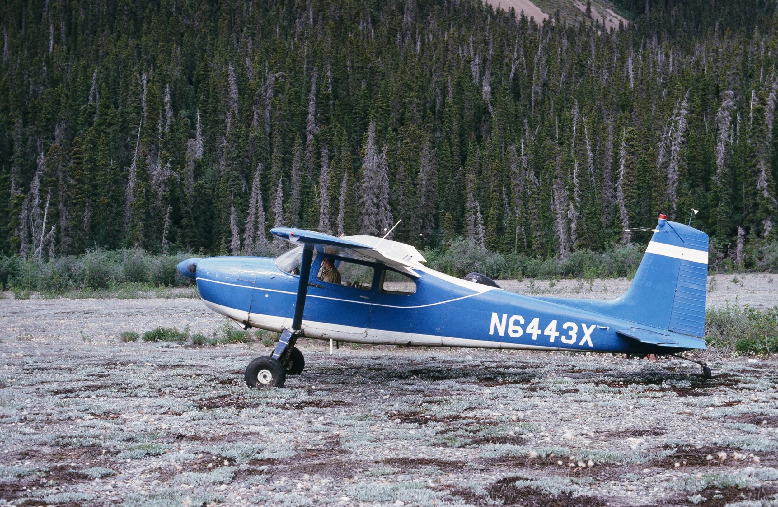 Jim Edwards of Chitina Air Service in the Cessna 180 as he takes off from the small bush strip.