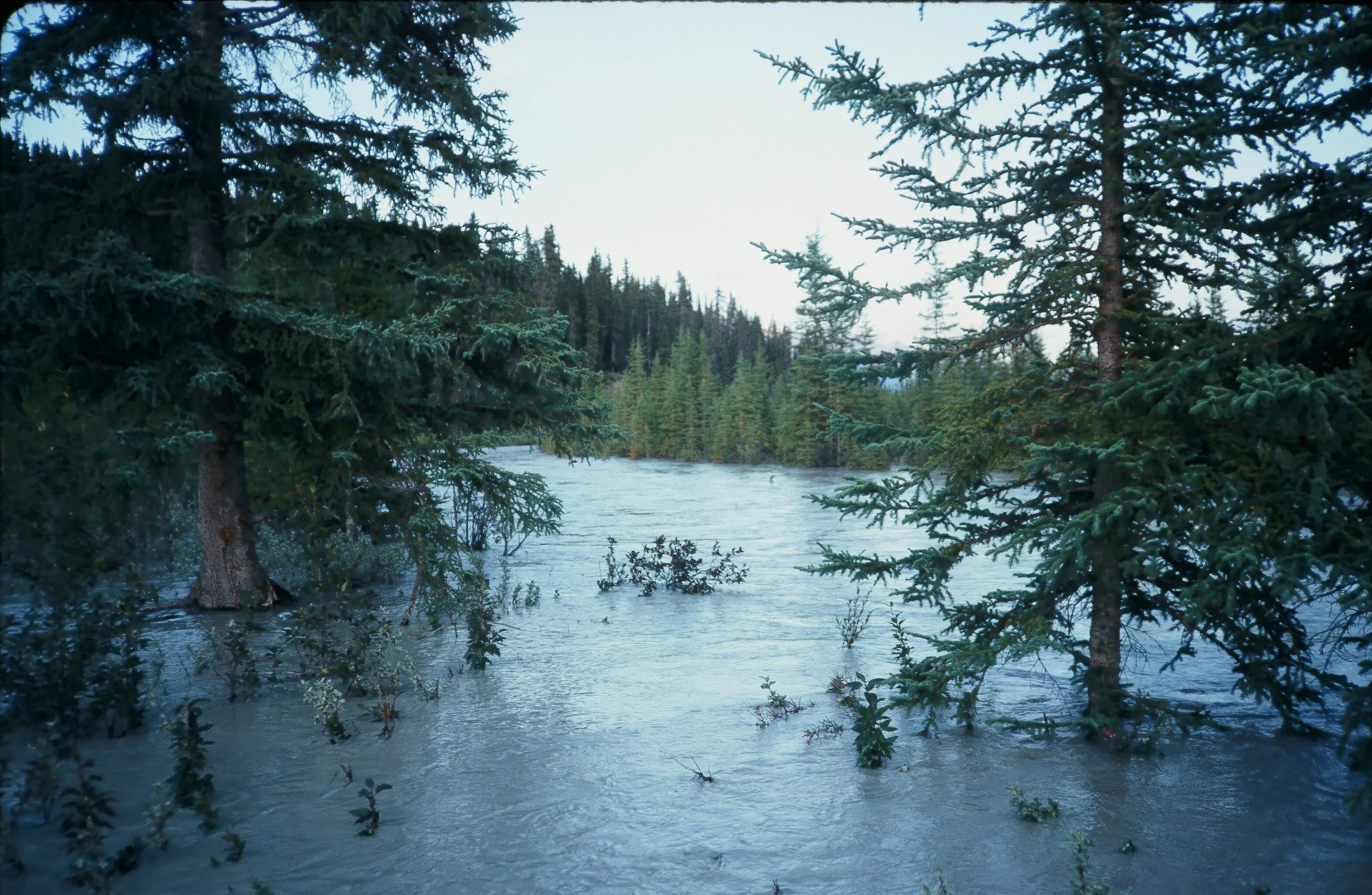 Our clear water stream over its banks.