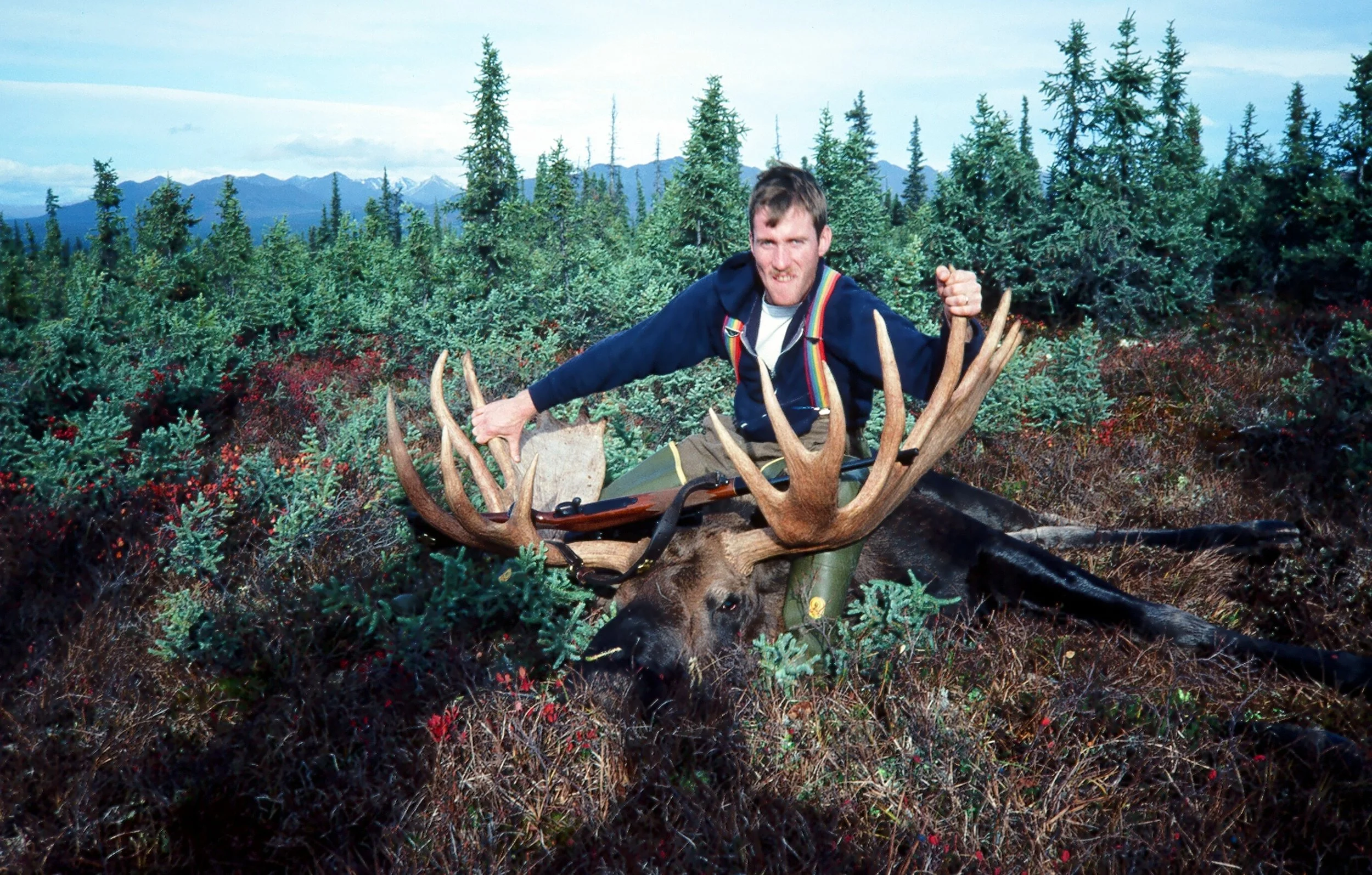 Another Fog Lakes Moose