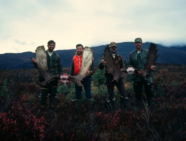 Moose Hunting at Fog Lakes